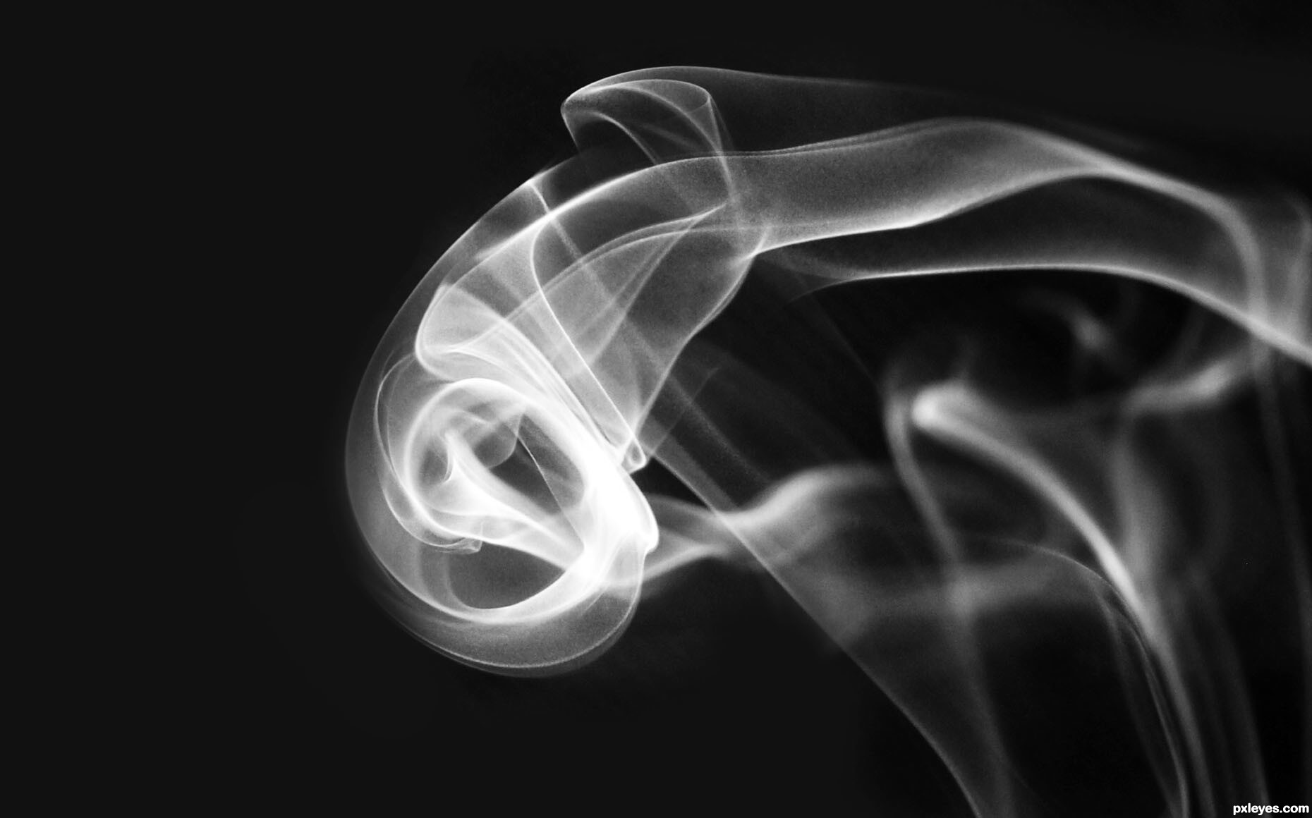 Black and white picture, by emilymnewell for: creative smoke 2 ...