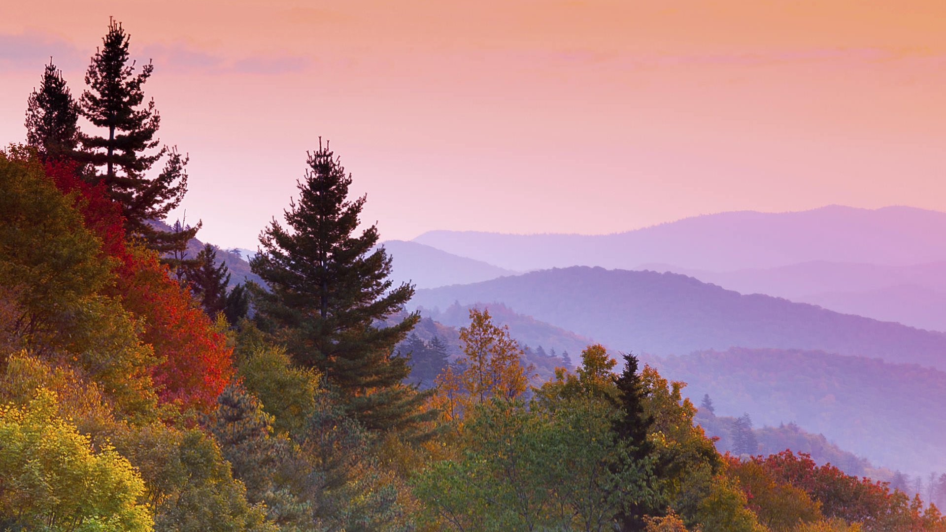Smoky Mountains | National Park Foundation