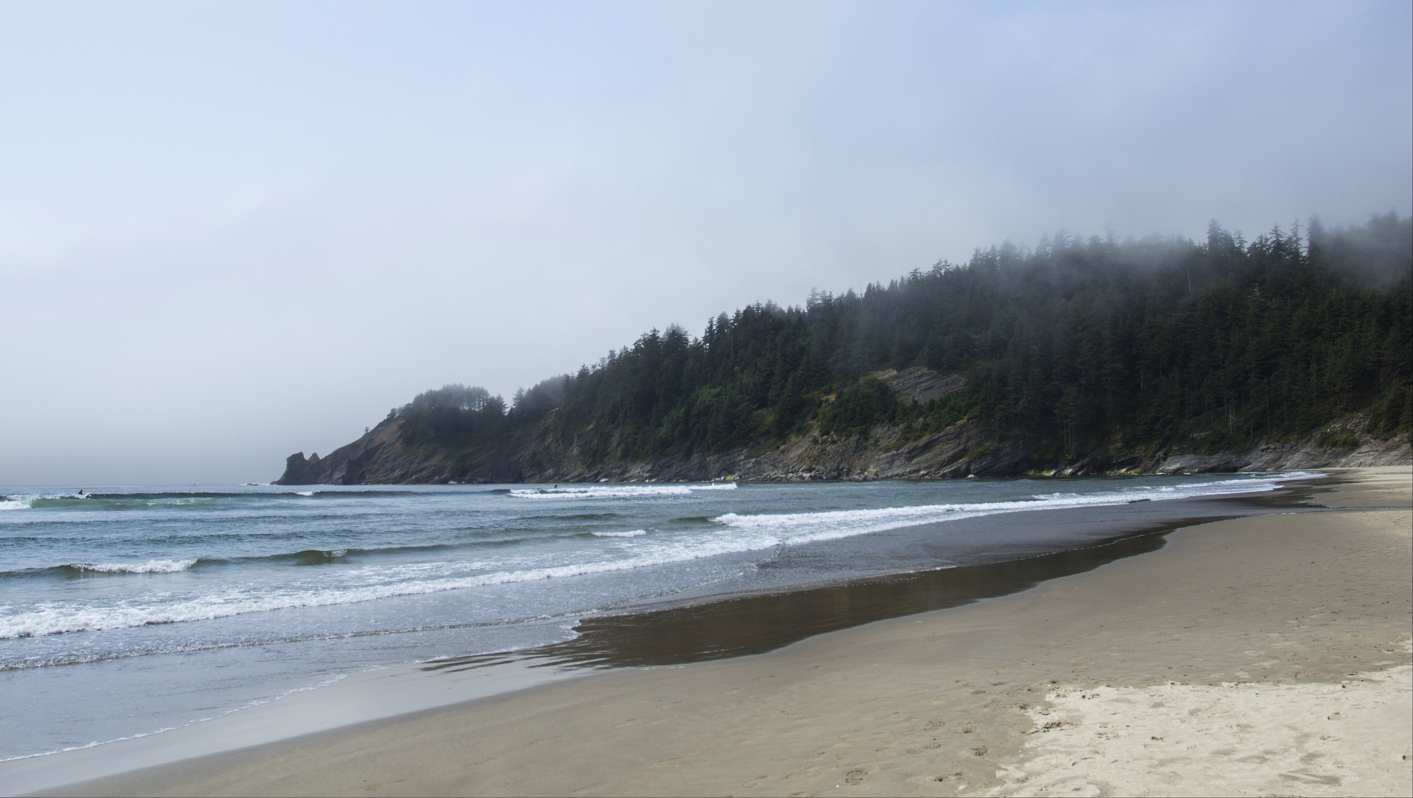 Smugglers Cove and Short Sand Beach , Oregon, Bay, Oregon, Water, Trees, HQ Photo