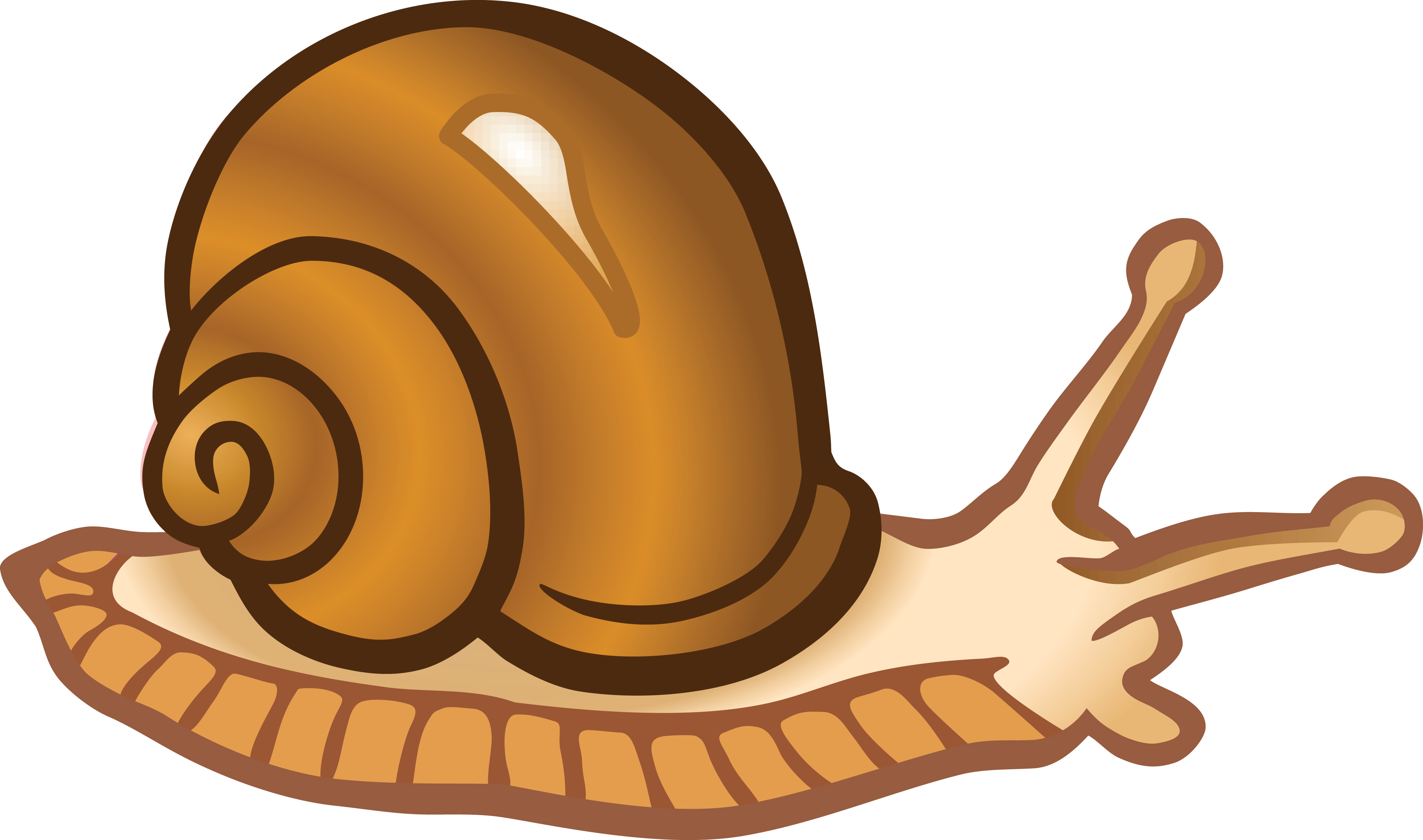 Free Clipart Of A snail