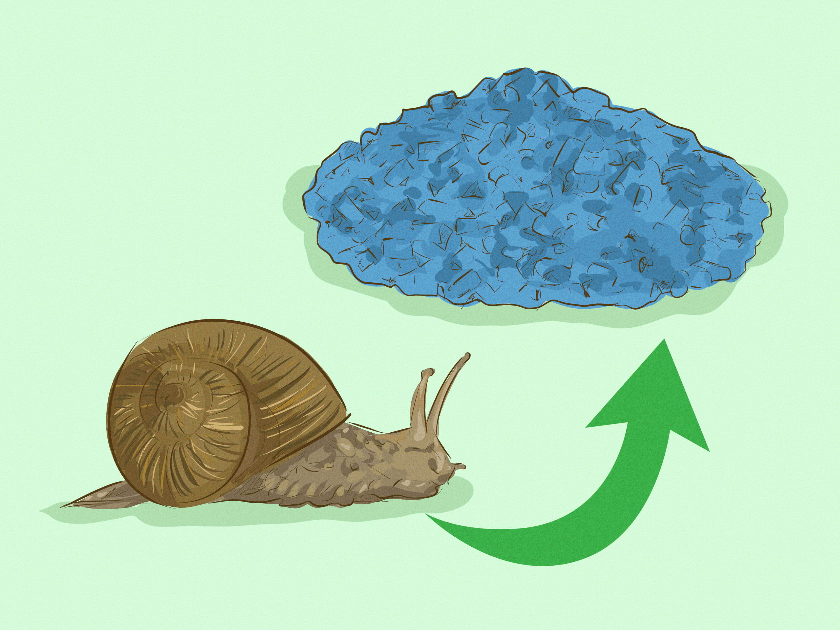 4 Ways to Get Rid of Garden Snails - wikiHow