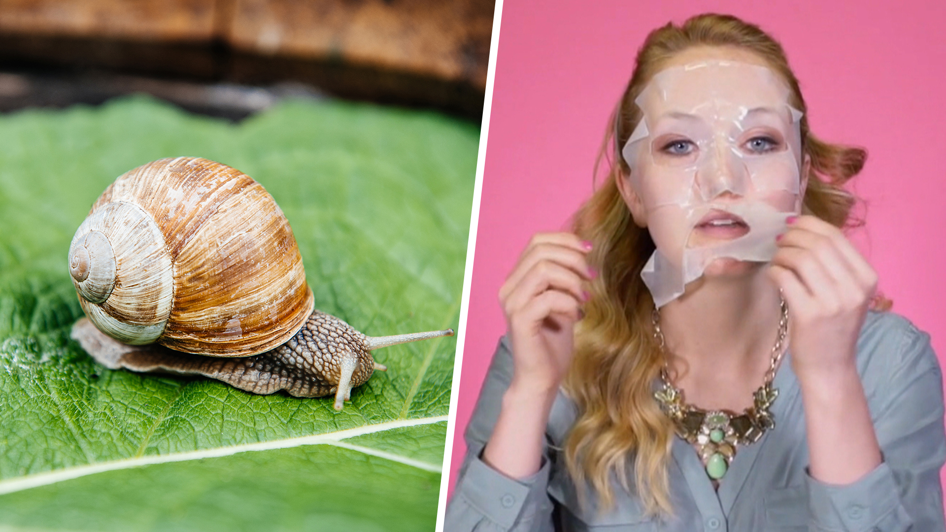I tried the snail mucus mask and it was even grosser than expected ...