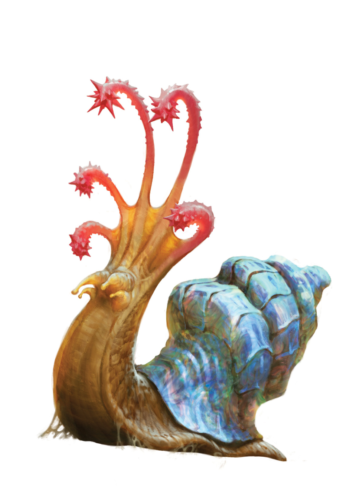 Flail snail | Forgotten Realms Wiki | FANDOM powered by Wikia