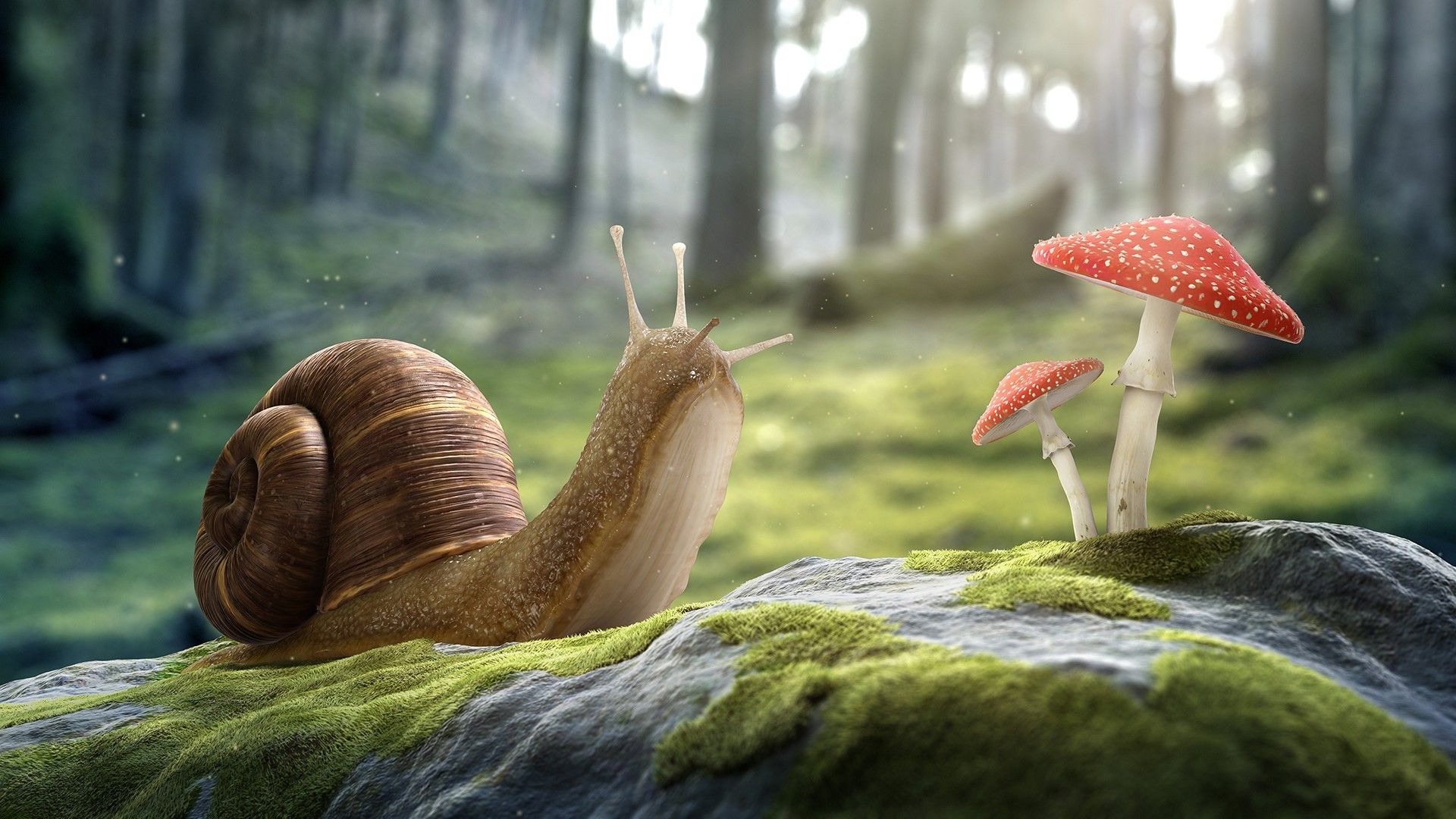 digital Art, Artwork, CGI, 3D, Nature, Stones, Snail, Mushroom ...