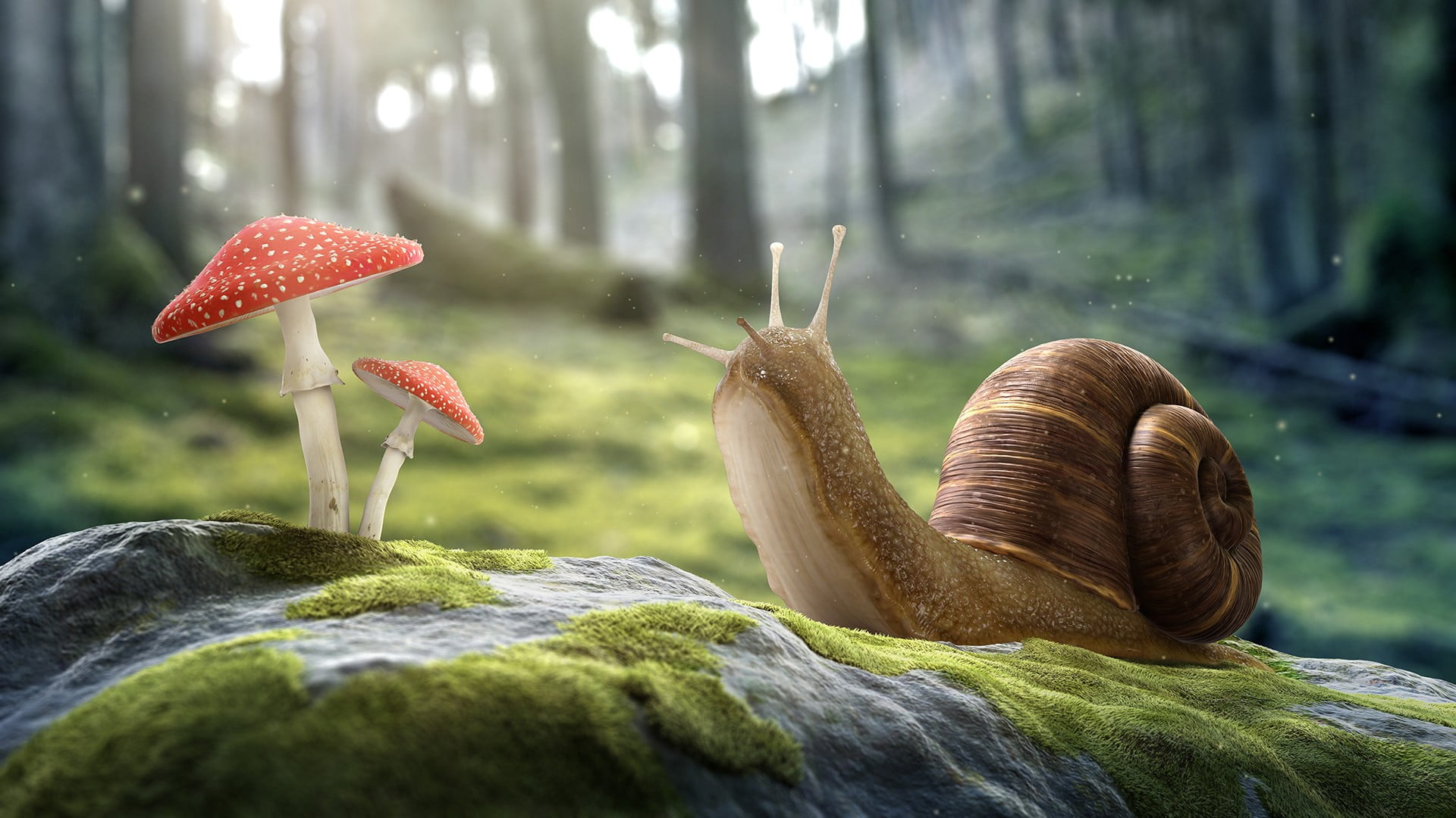 Snail and mushroom illustration HD wallpaper | Wallpaper Flare