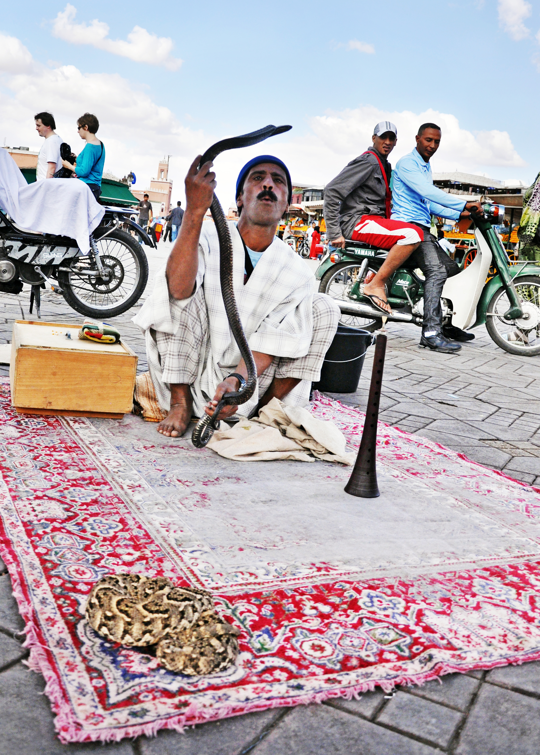 Snake charmer in morocco photo