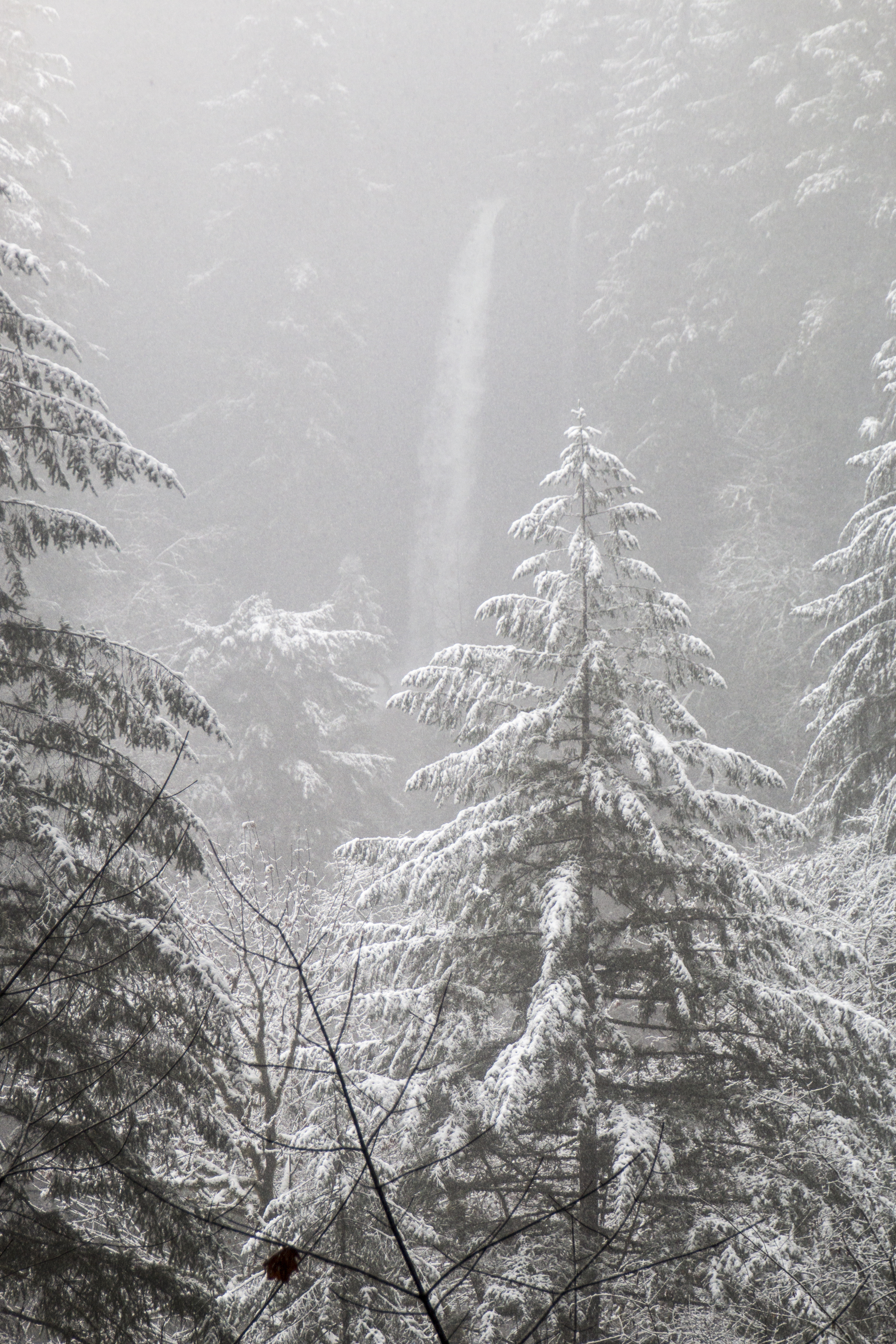 Snow at silver falls, oregon photo