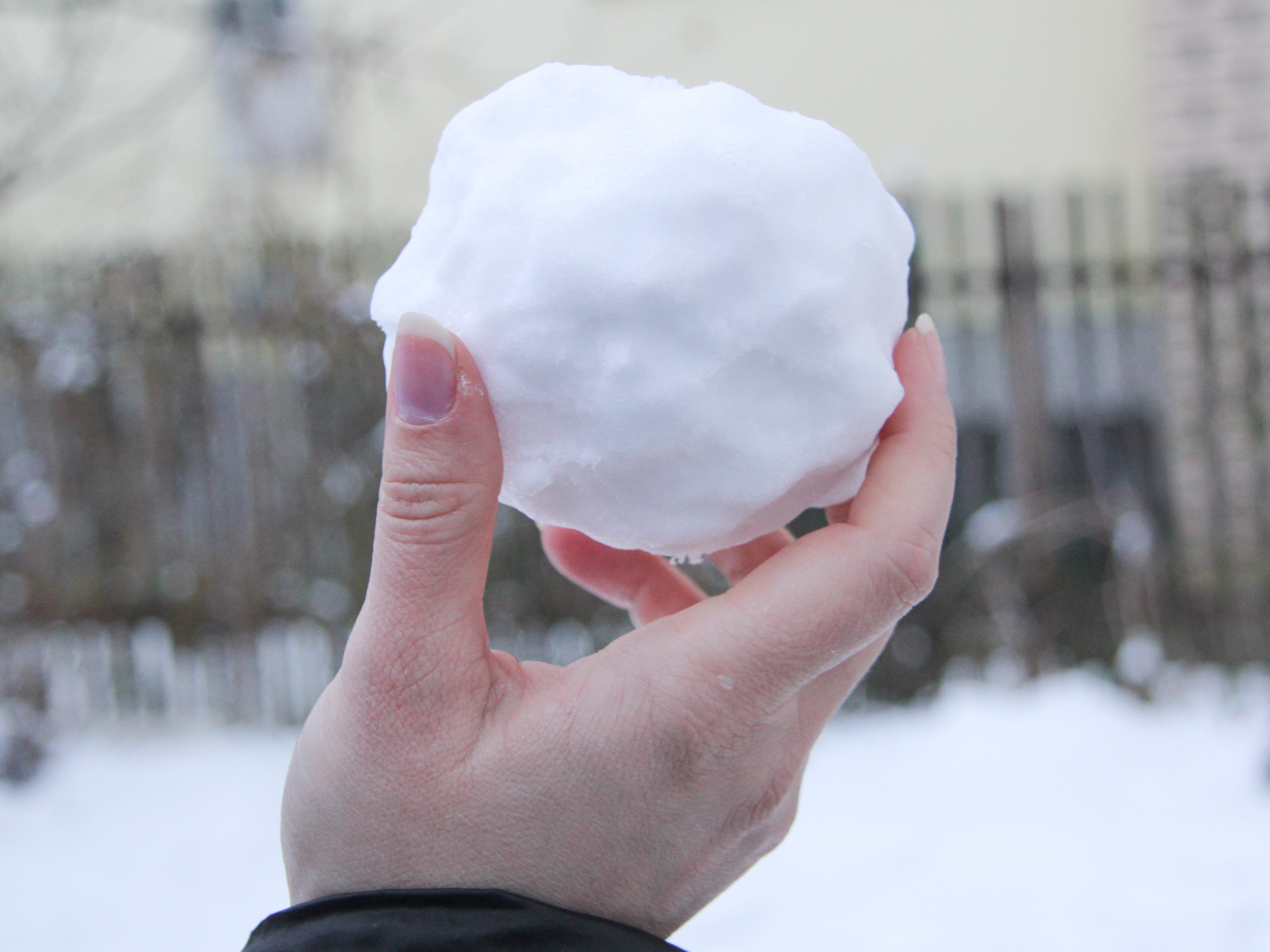 Snow ball photo