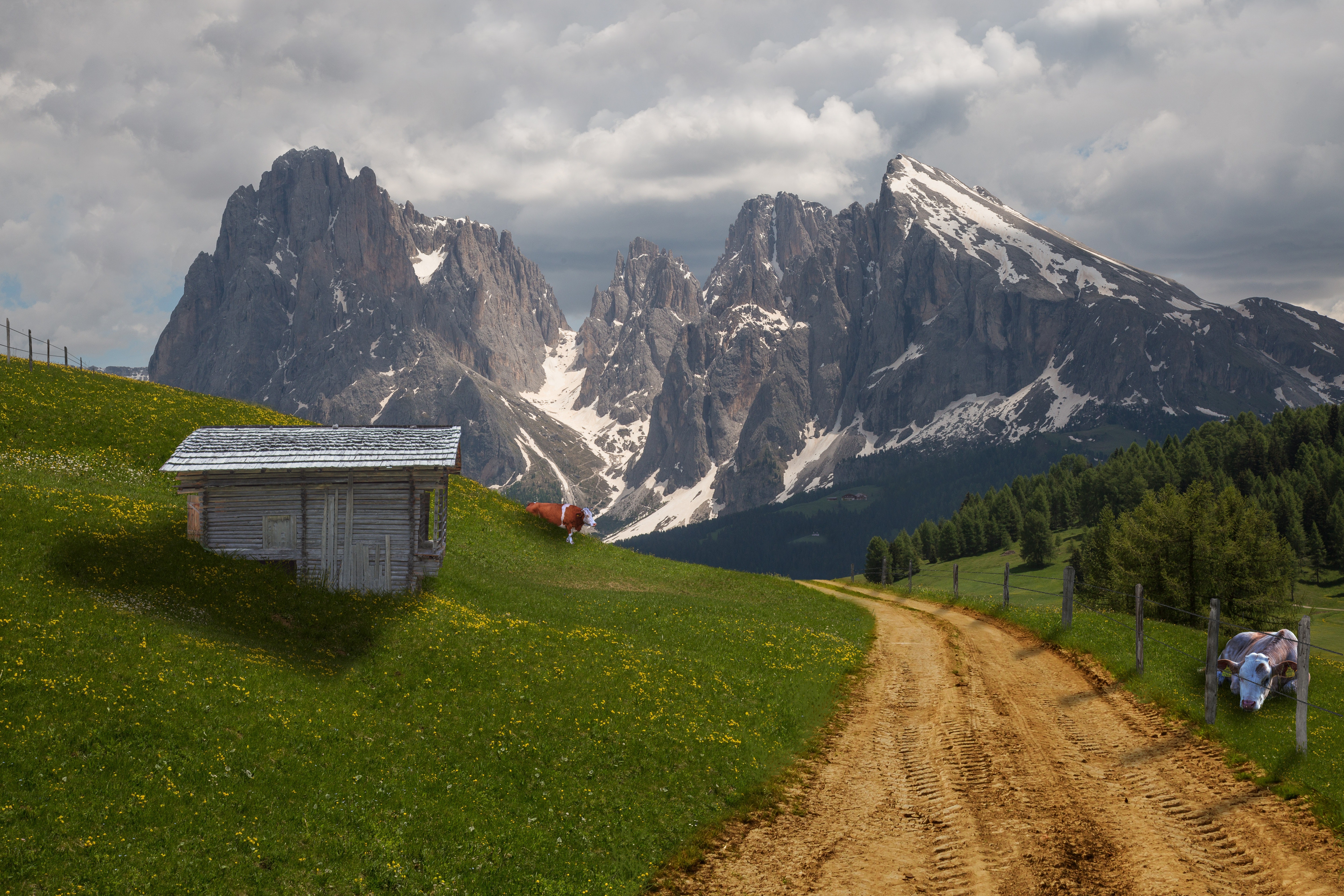 Snow Capped Mountain Distant from Cow and Brown Road, Summer, Rustic, Scenic, Shed, HQ Photo