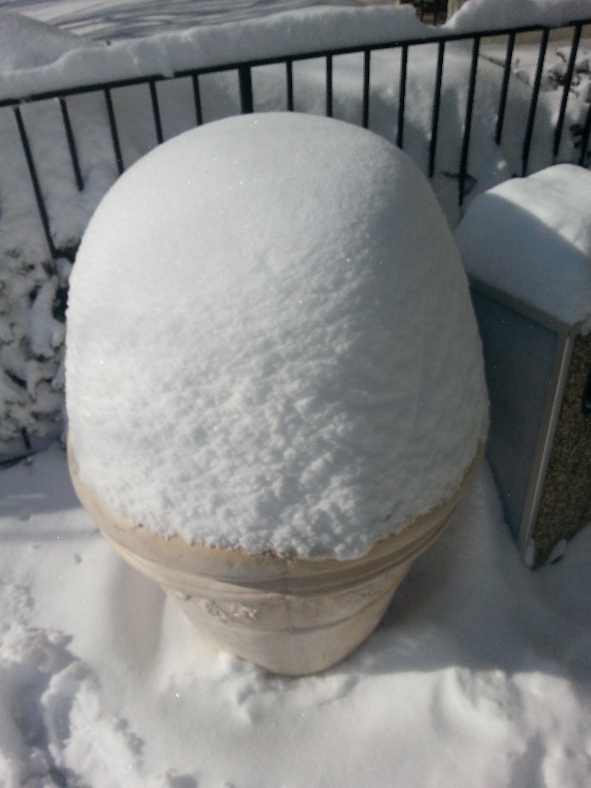 Free photo: Snow Cone - Cold, Cone, Snow - Free Download - Jooinn