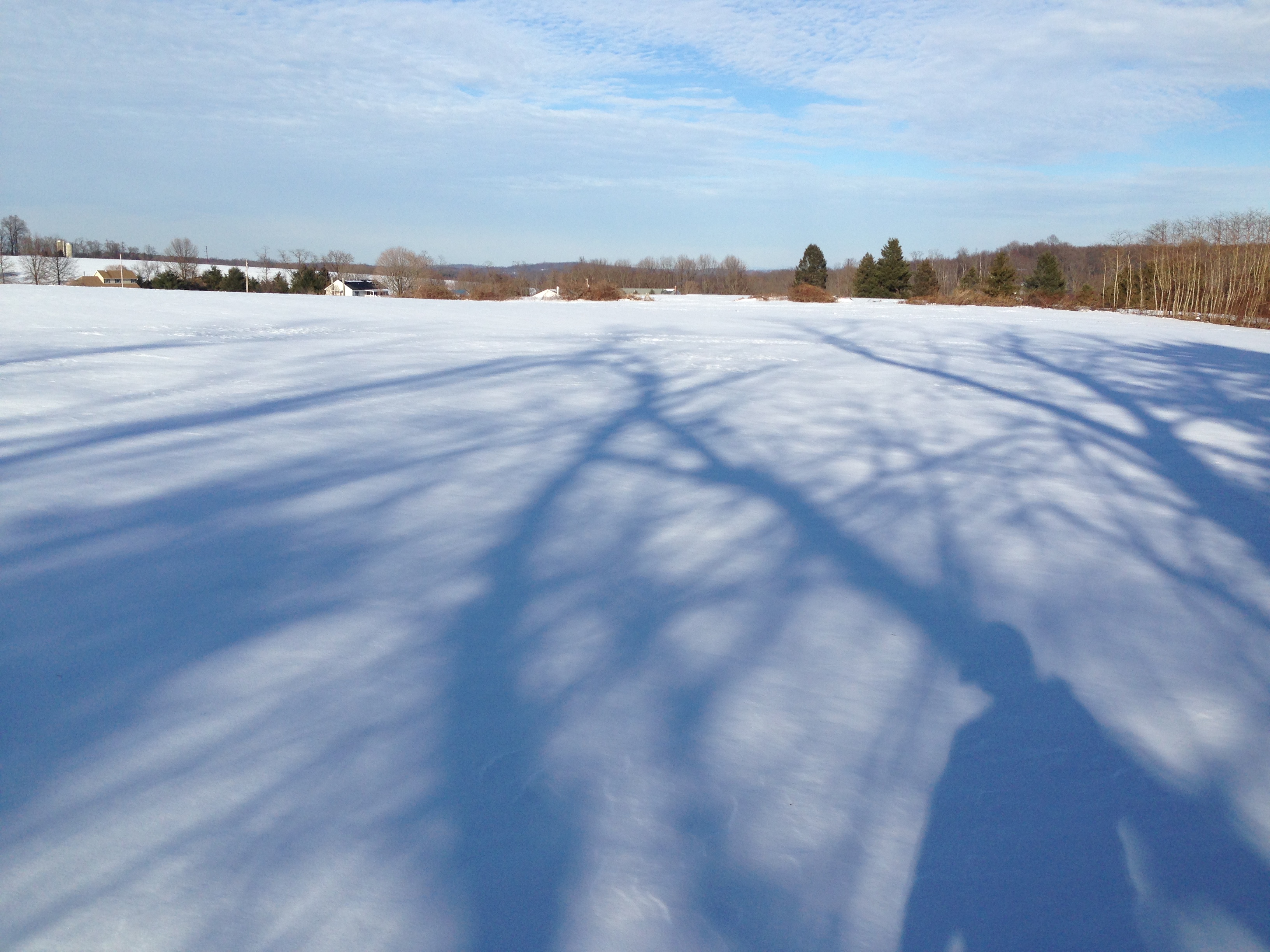 Pictures of a snow covered field in Pennsylvania | avideogamelife