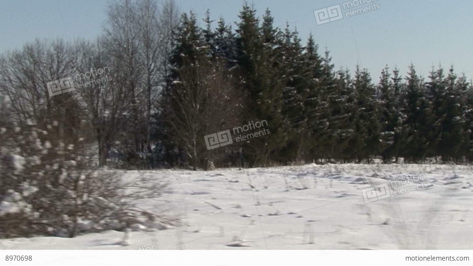 Christmas Winter Scene. Snow Covered Field, Moving Camera Stock ...