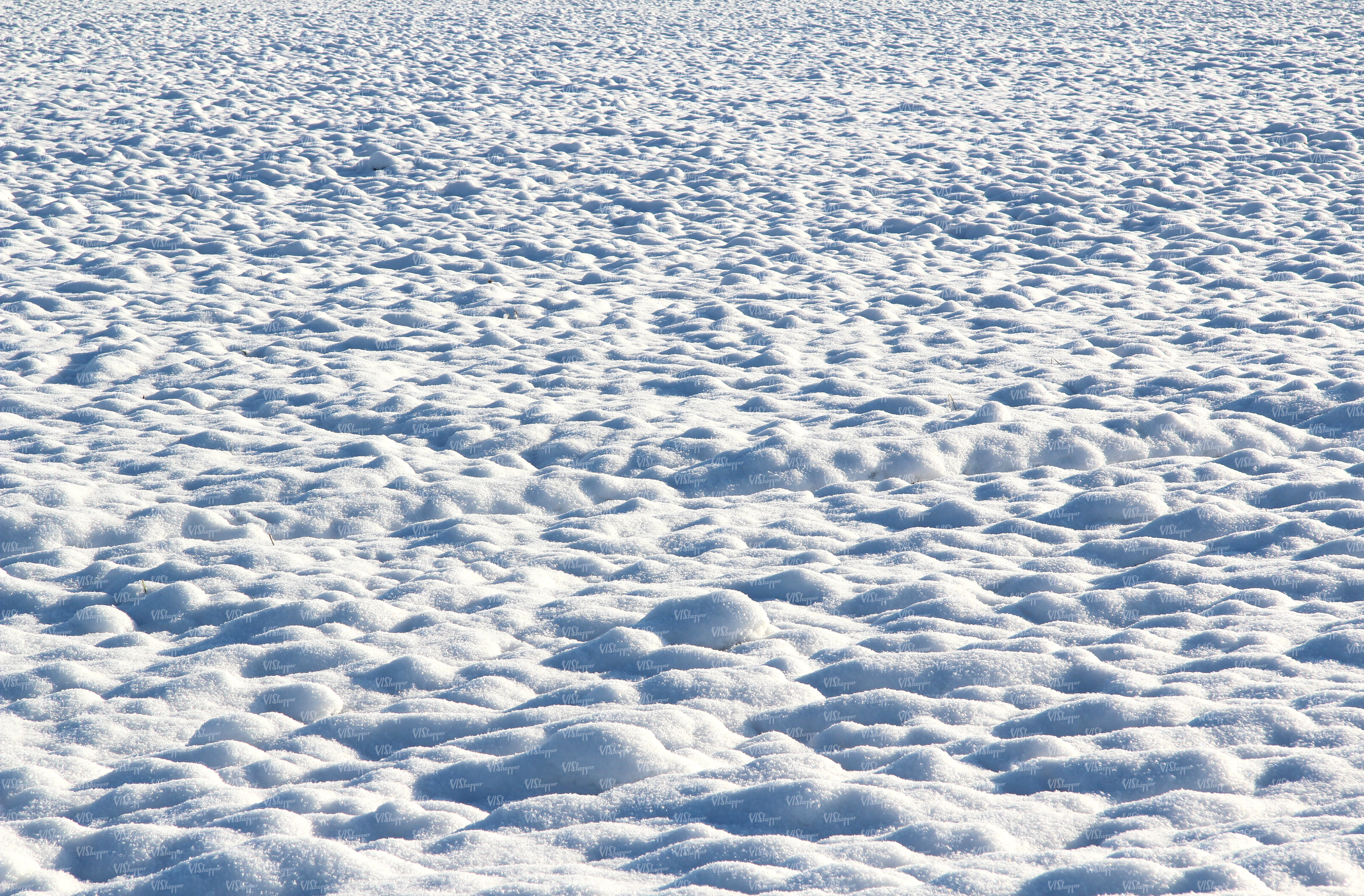 Snow covered ground photo