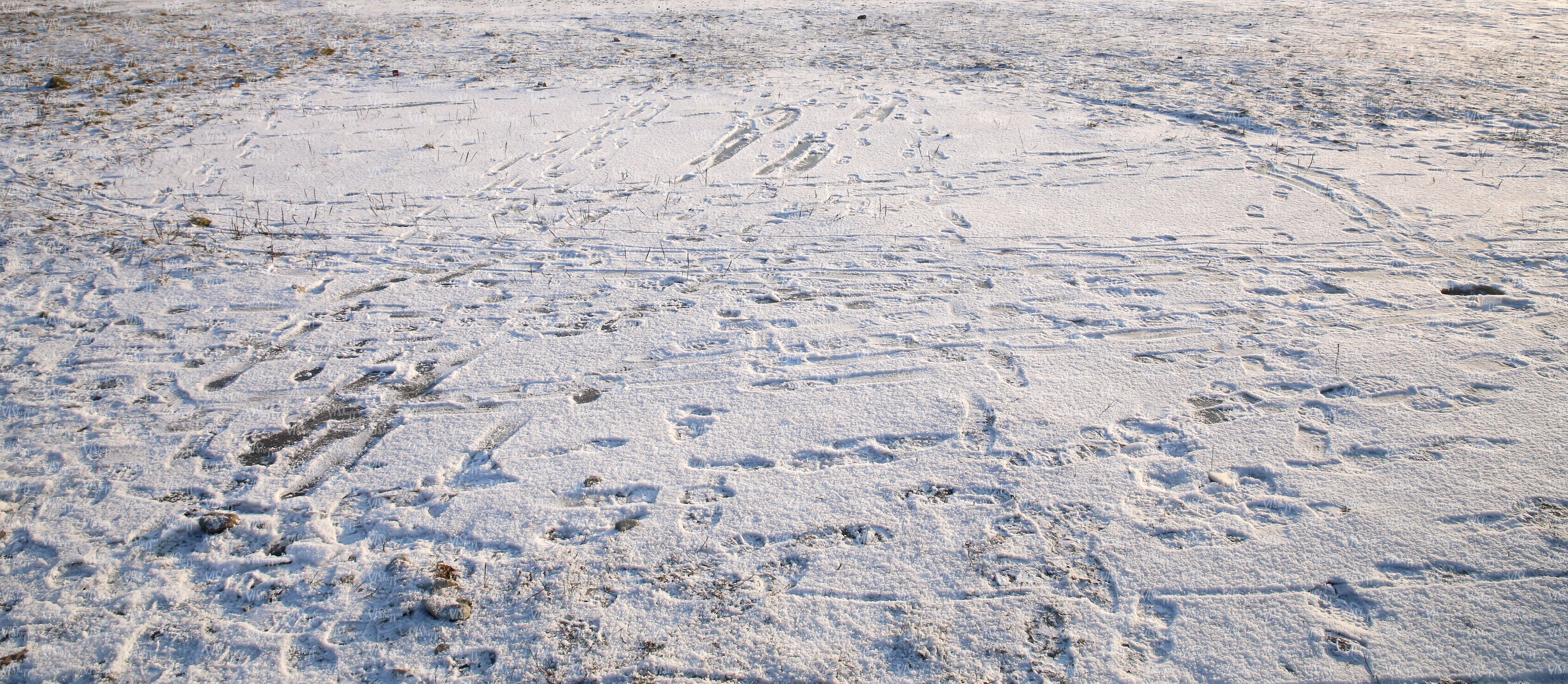 snow-covered ground with messy footprints - ground textures - VIShopper