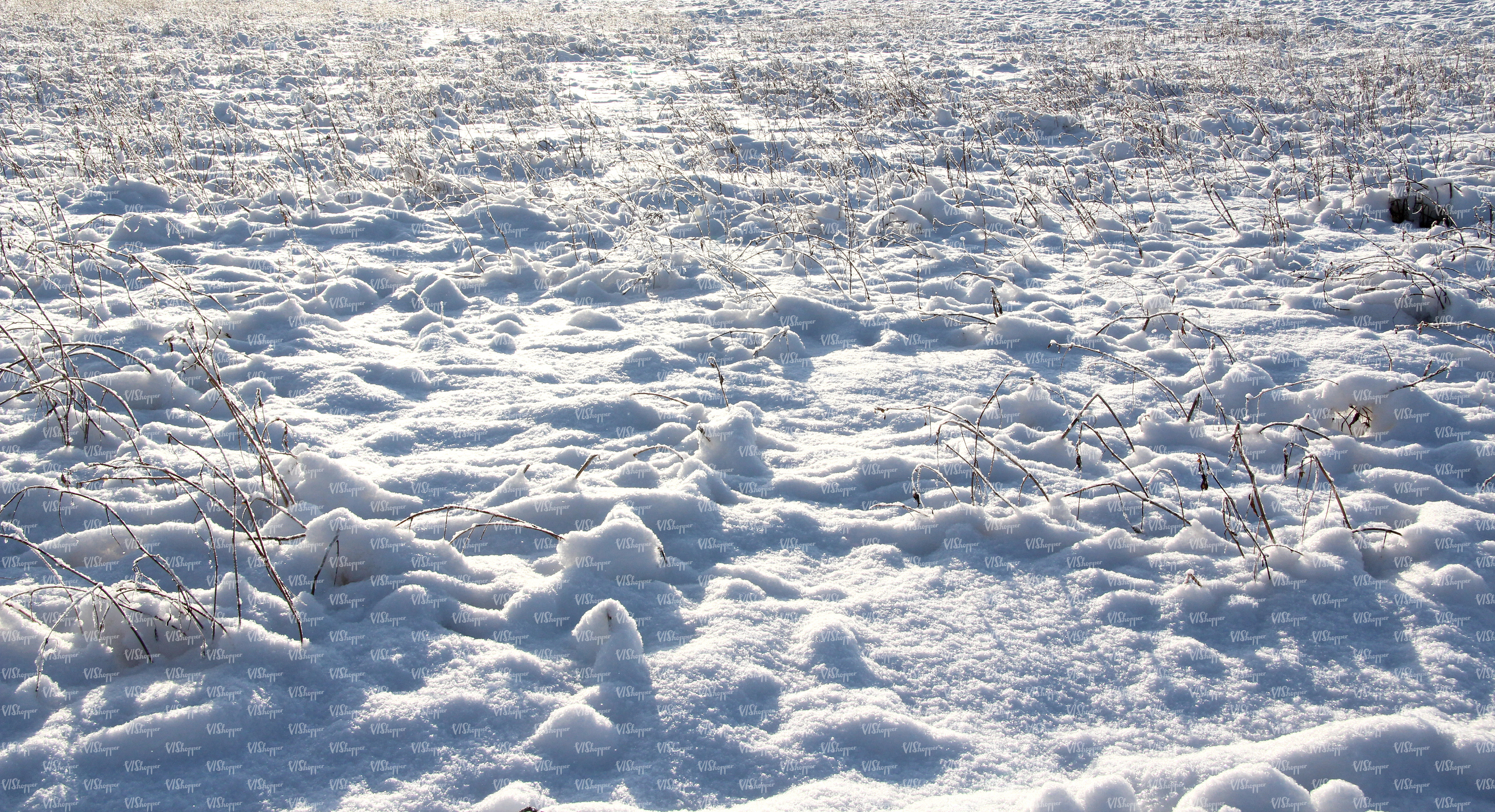bumpy snow-covered ground with some plants - ground textures - VIShopper