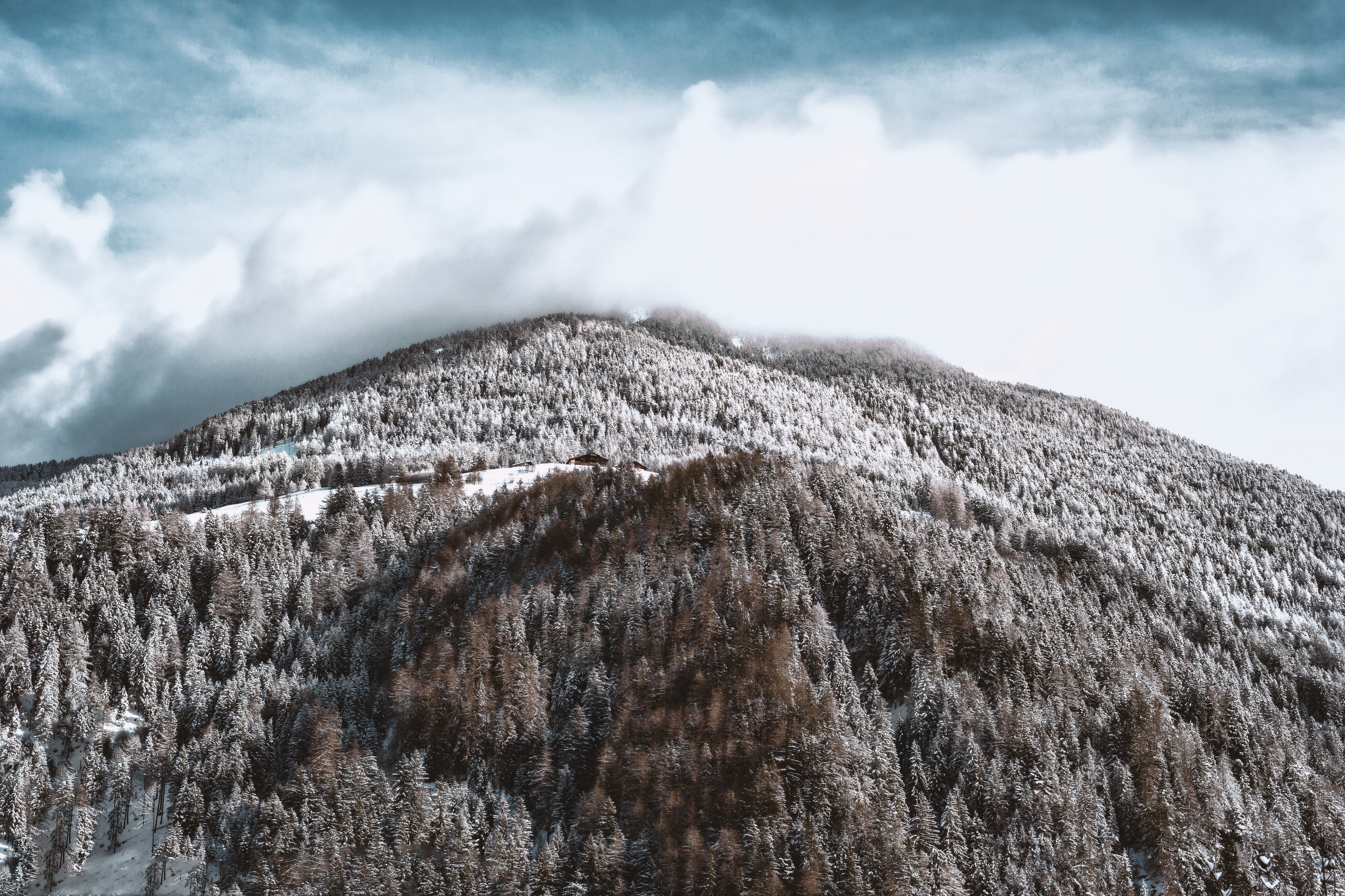 Snow-covered mountain and forest photo