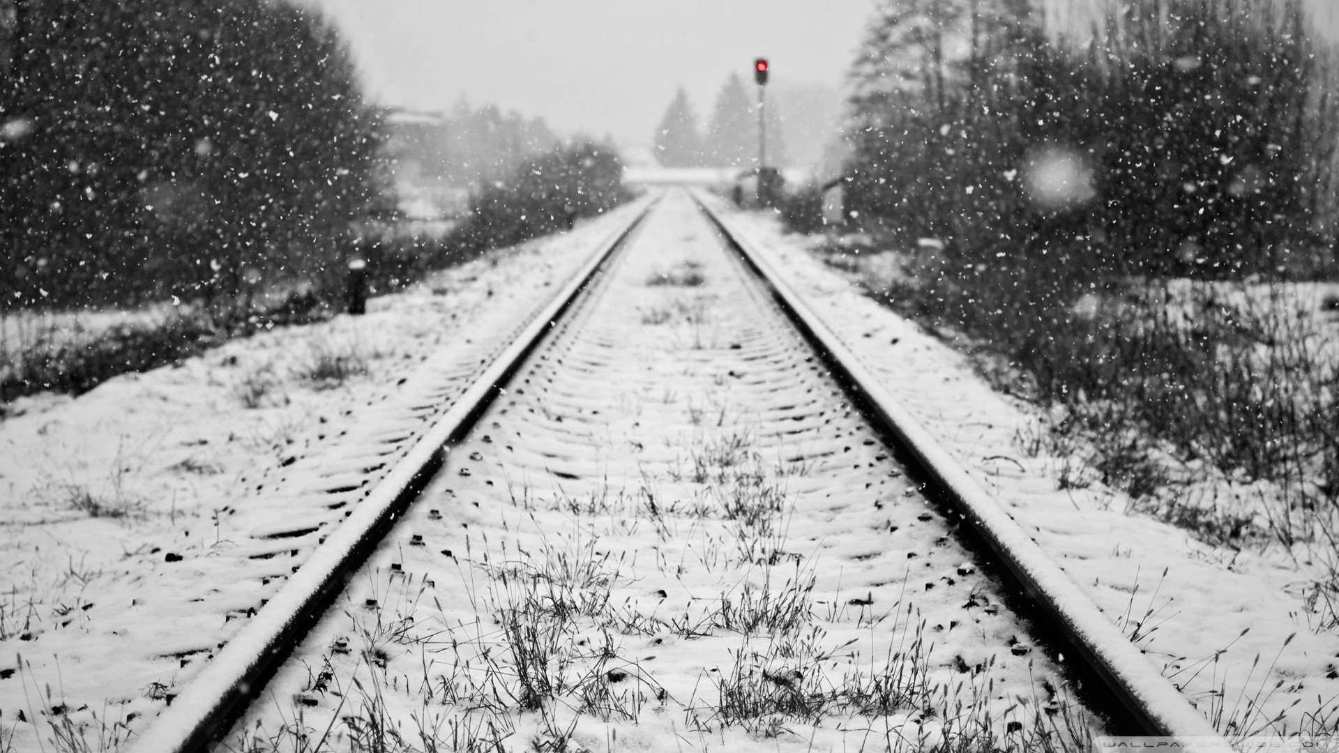Bushes Nature Railroads Railroad Tracks Snow Travel Winter - WallDevil