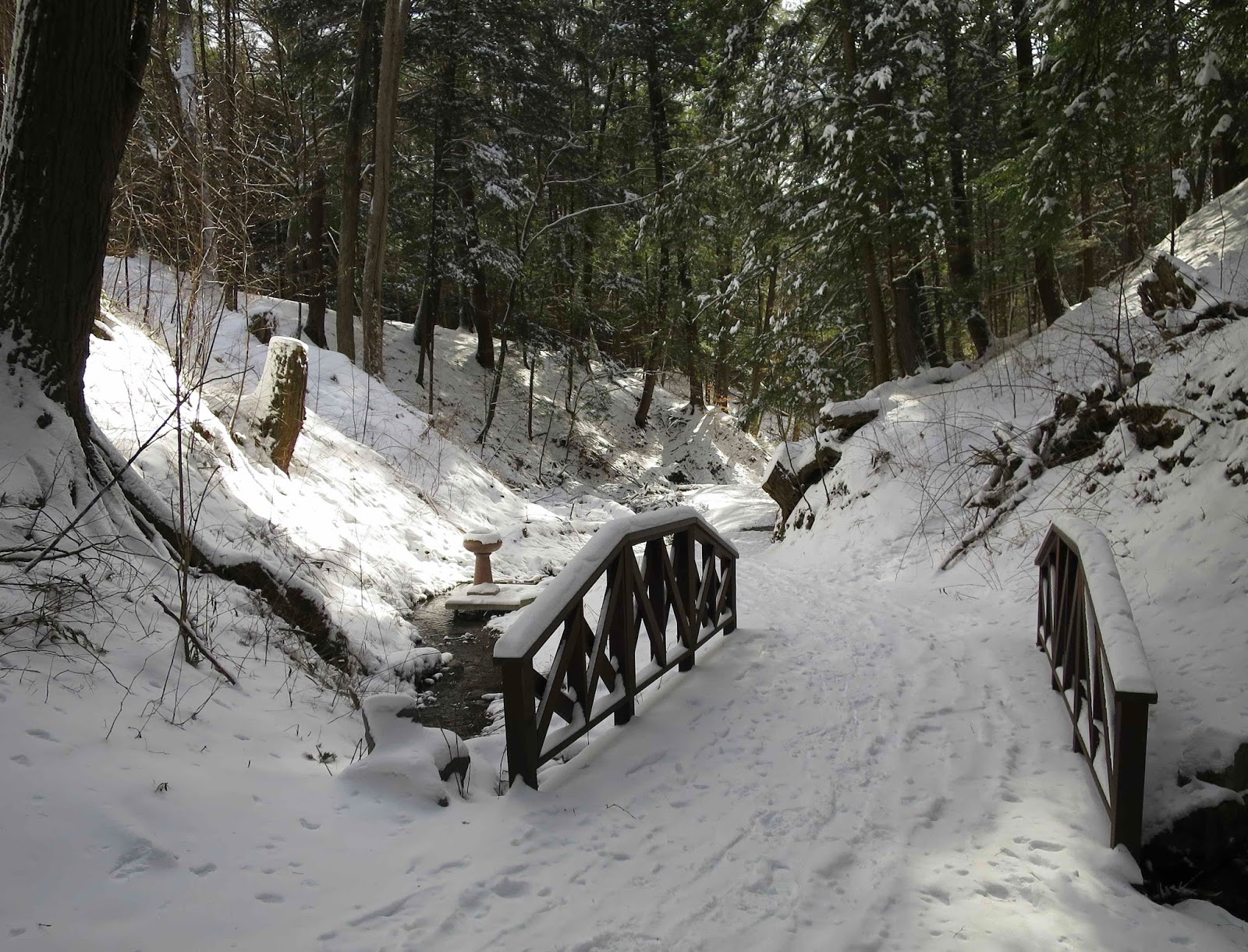 Saratoga woods and waterways: Snowy Trail Through the Spa