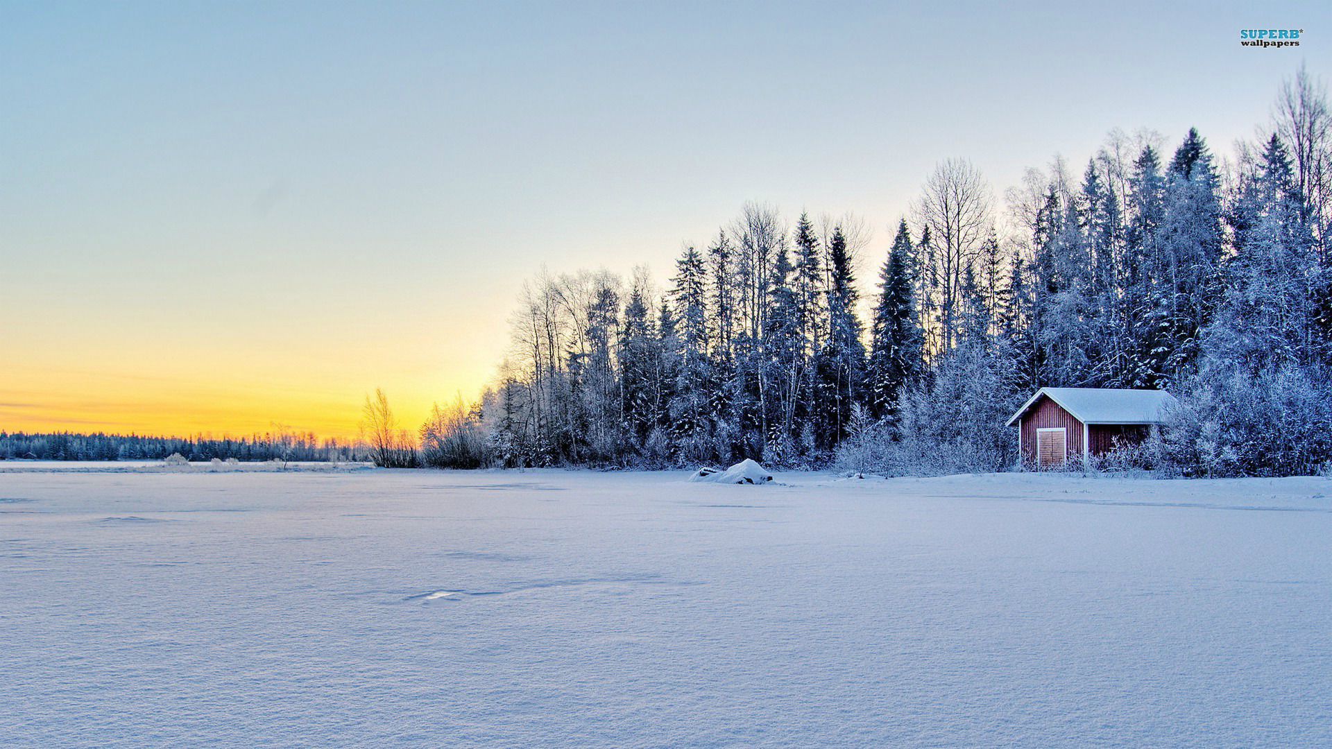 Картинки по запросу winter landscape | art | Pinterest | Landscaping ...