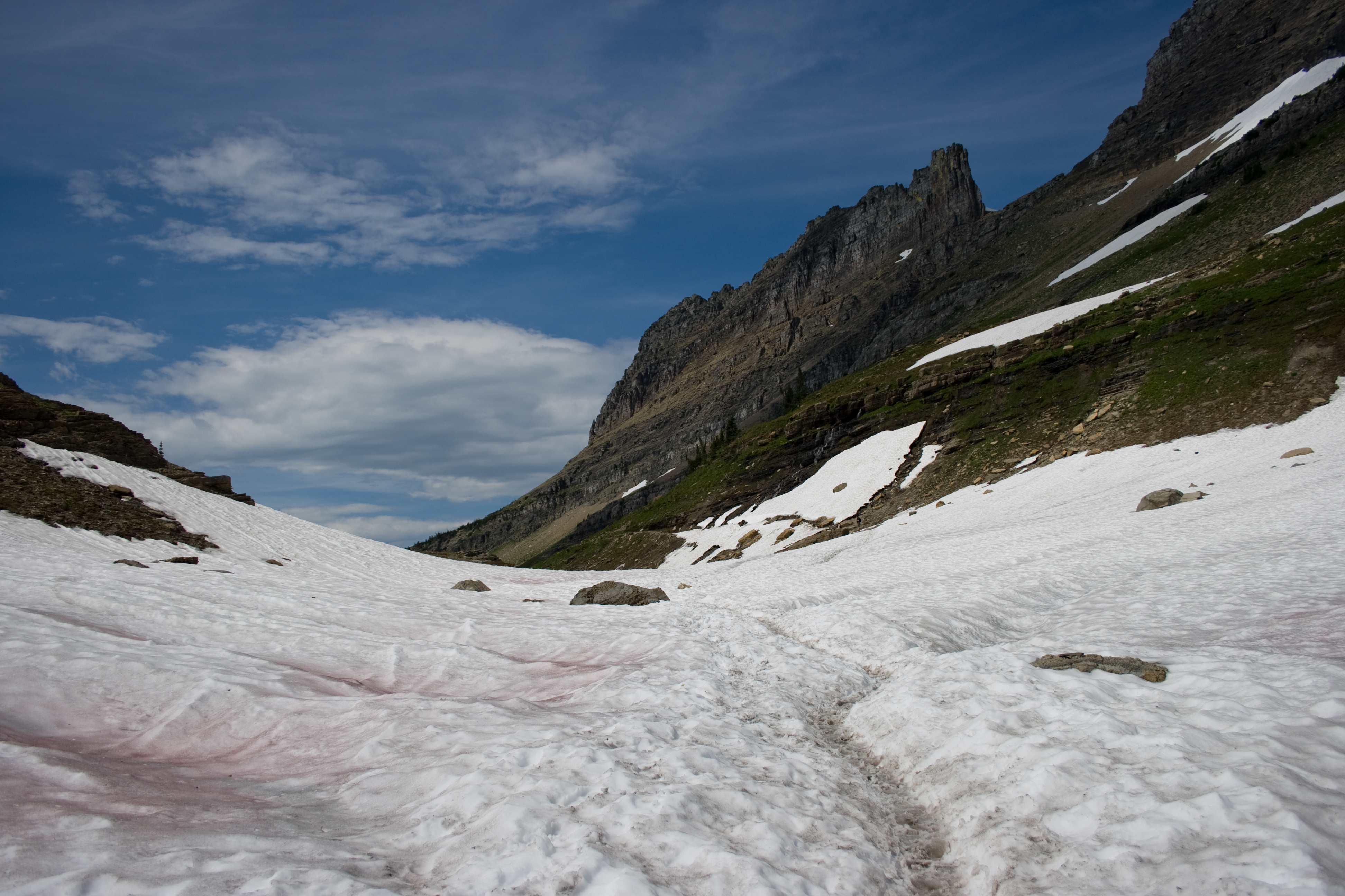 File:Glacier National Park - Snow Fields.jpg - Wikimedia Commons
