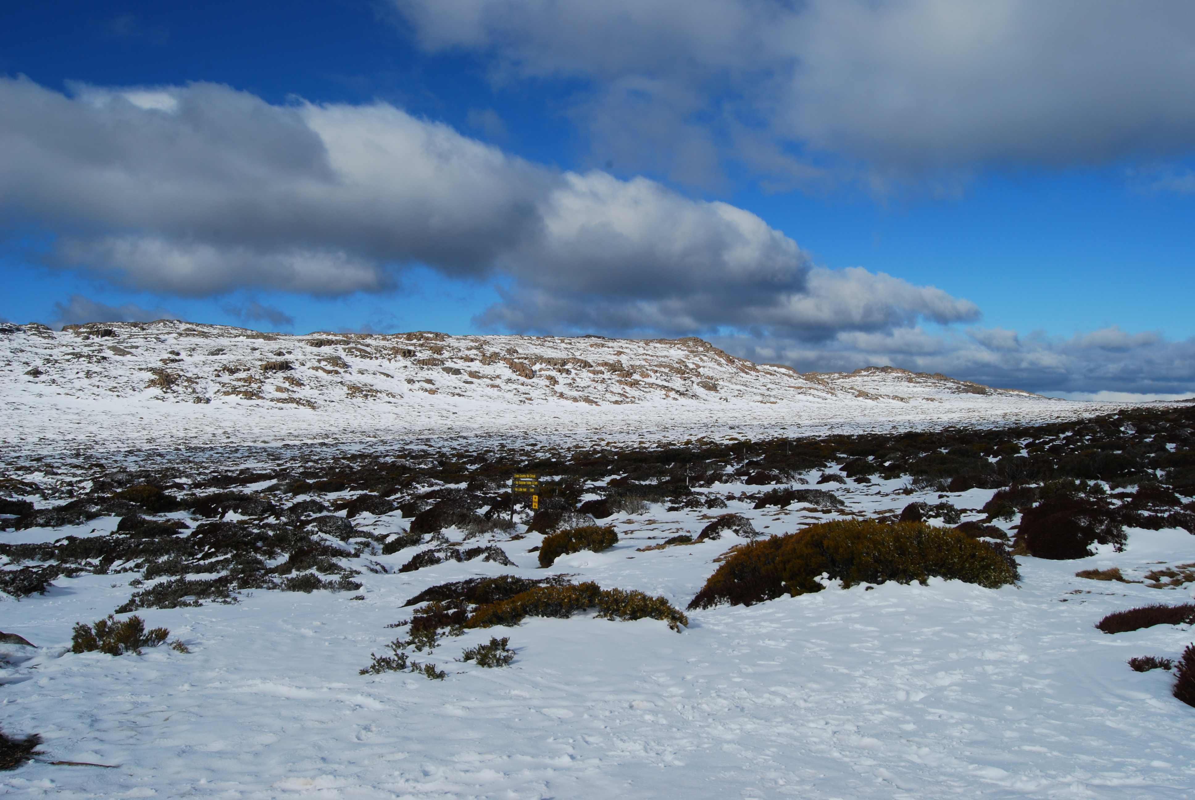 File:Ben Lomond snow fields.JPG - Wikimedia Commons