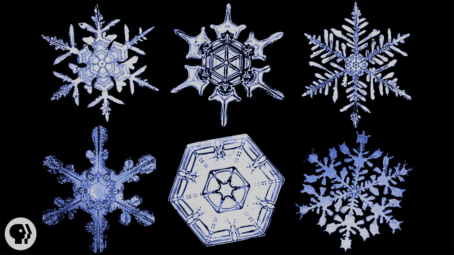 The Science of Snowflakes - YouTube