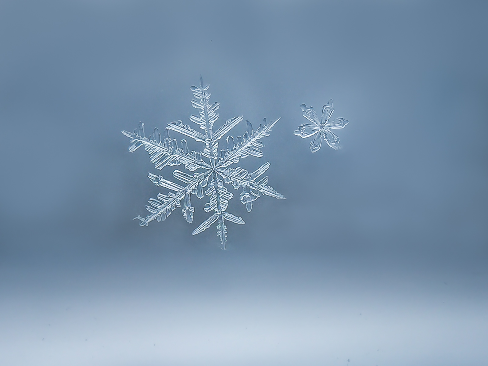 How to take macro pictures of beautiful snowflakes