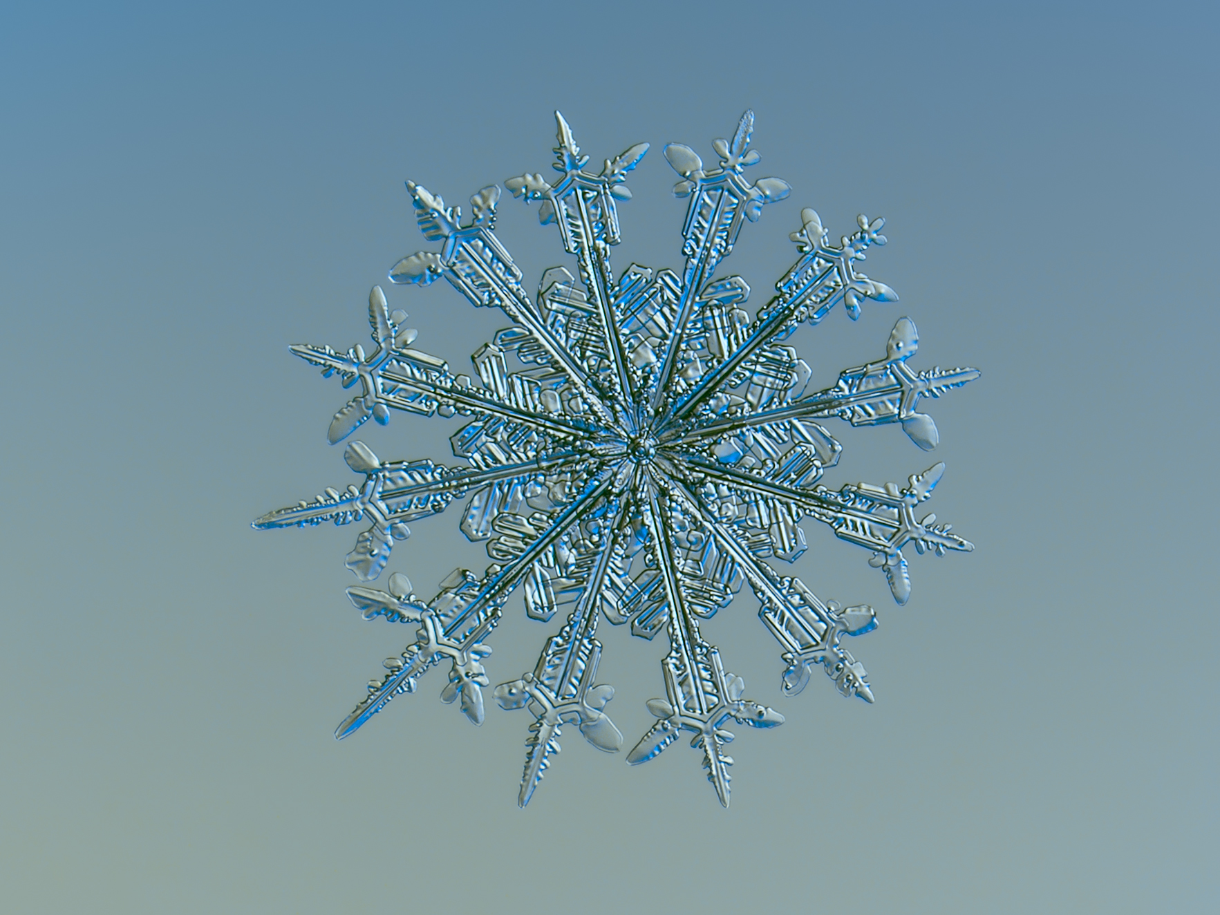 12 stunning snowflake photos you won't believe were taken by an ...