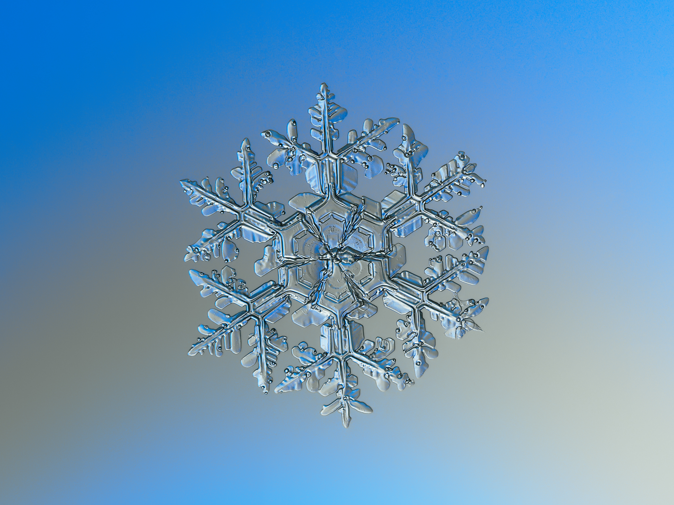 File:Snowflake macro photography 1.jpg - Wikimedia Commons