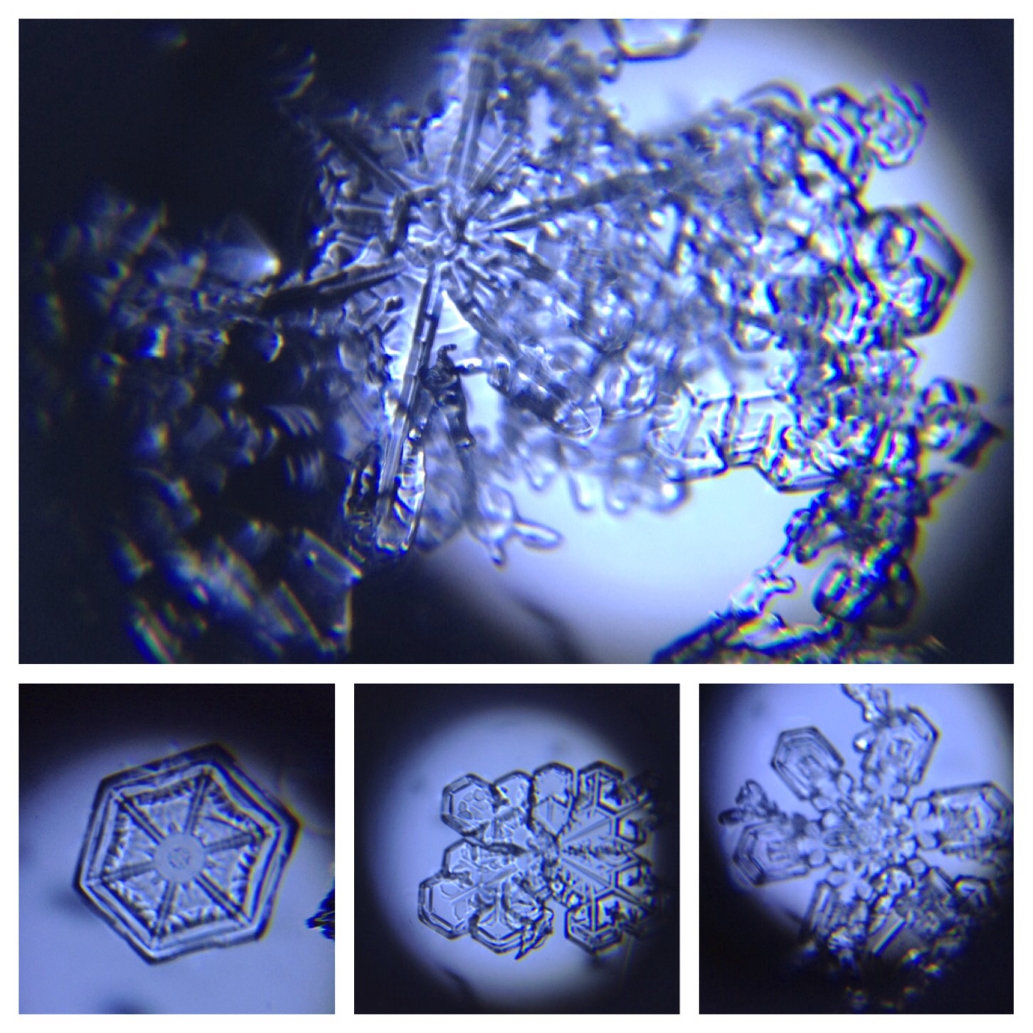 Why Are All Snowflakes Different? | Wonderopolis
