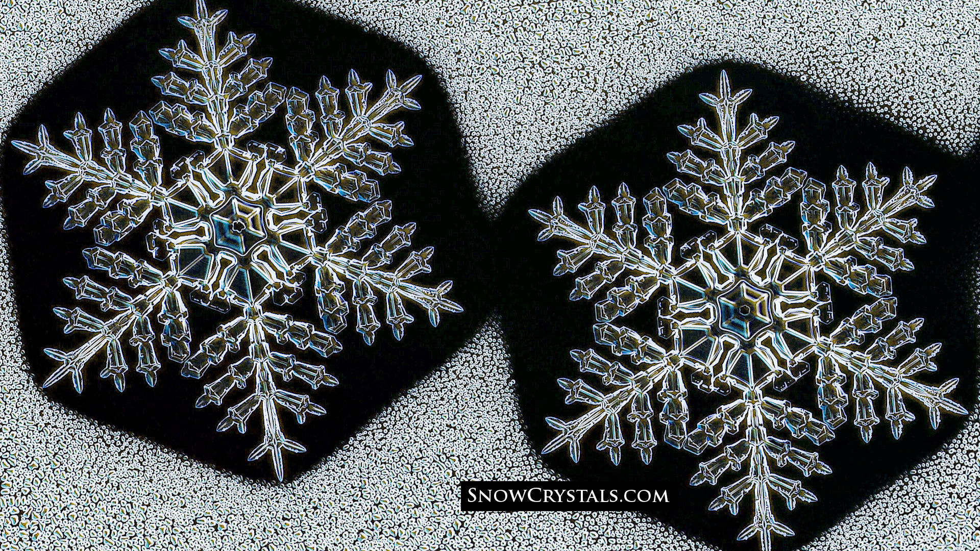 Identical-Twin Snowflakes - SnowCrystals.com