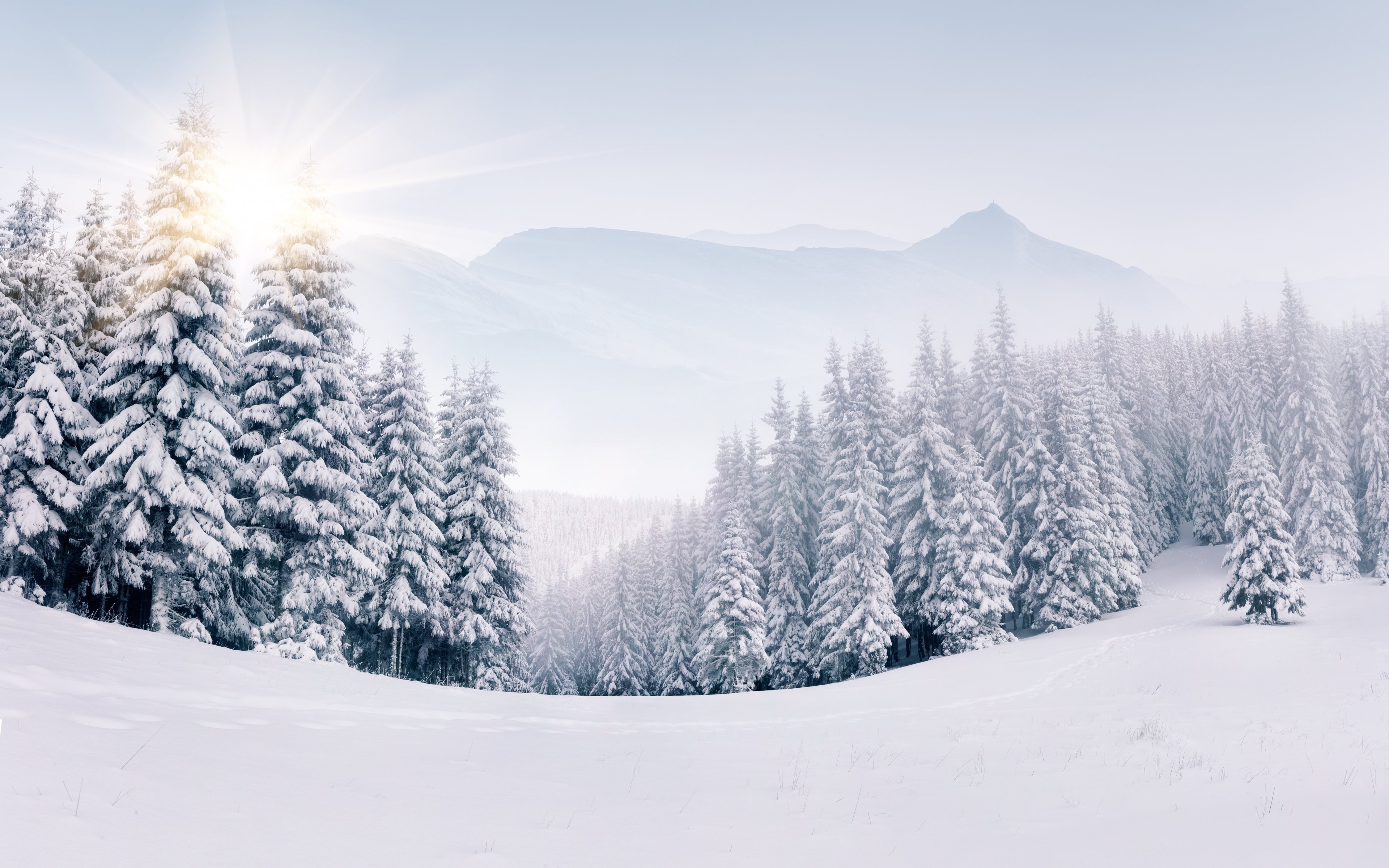 Mountains: Winter Nature Snow Landscape Hd Wallpaper 1080p Of for HD ...