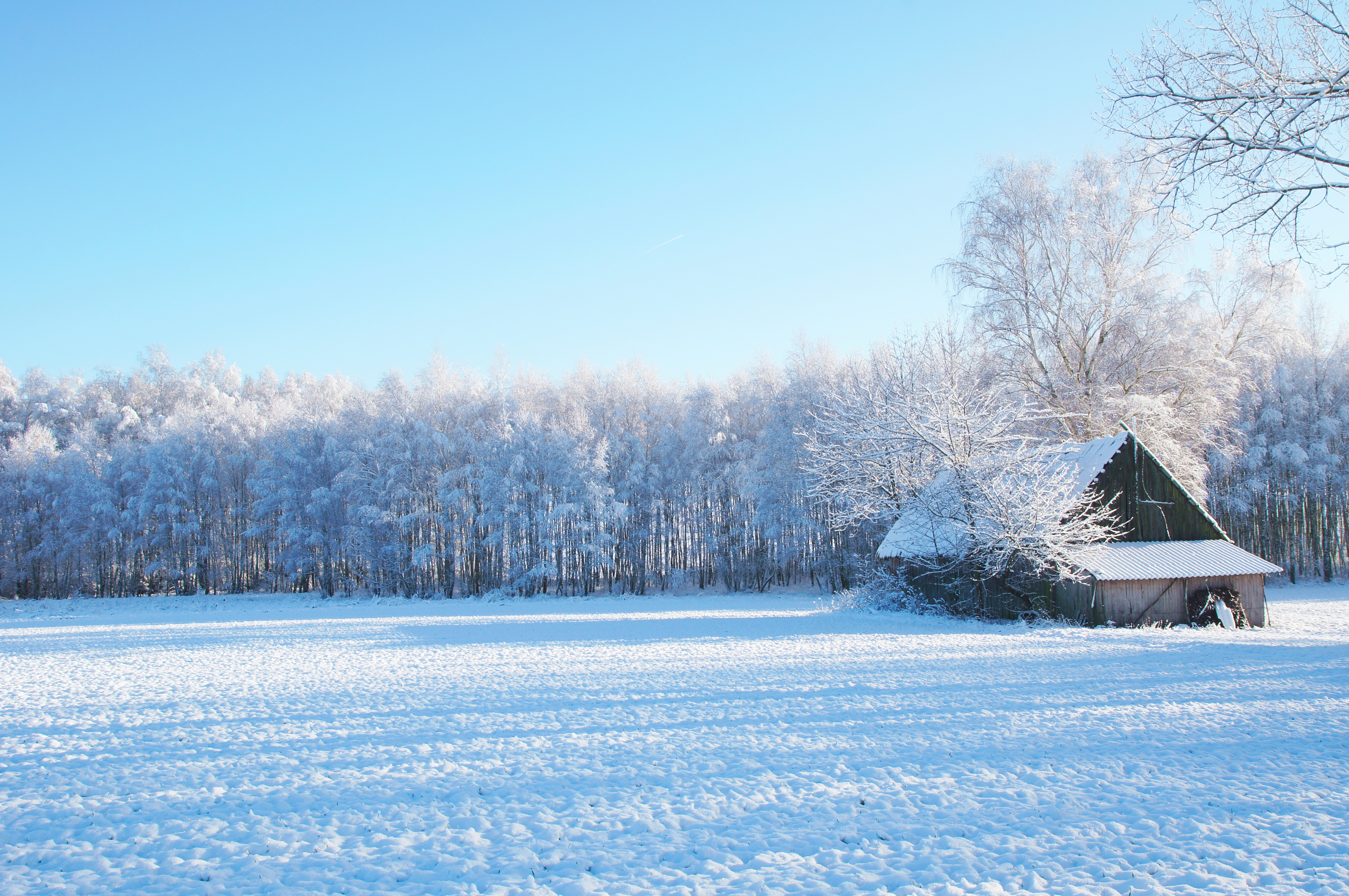 Free photo: Winter Landscape - Cold, Grass, Ice - Free Download - Jooinn