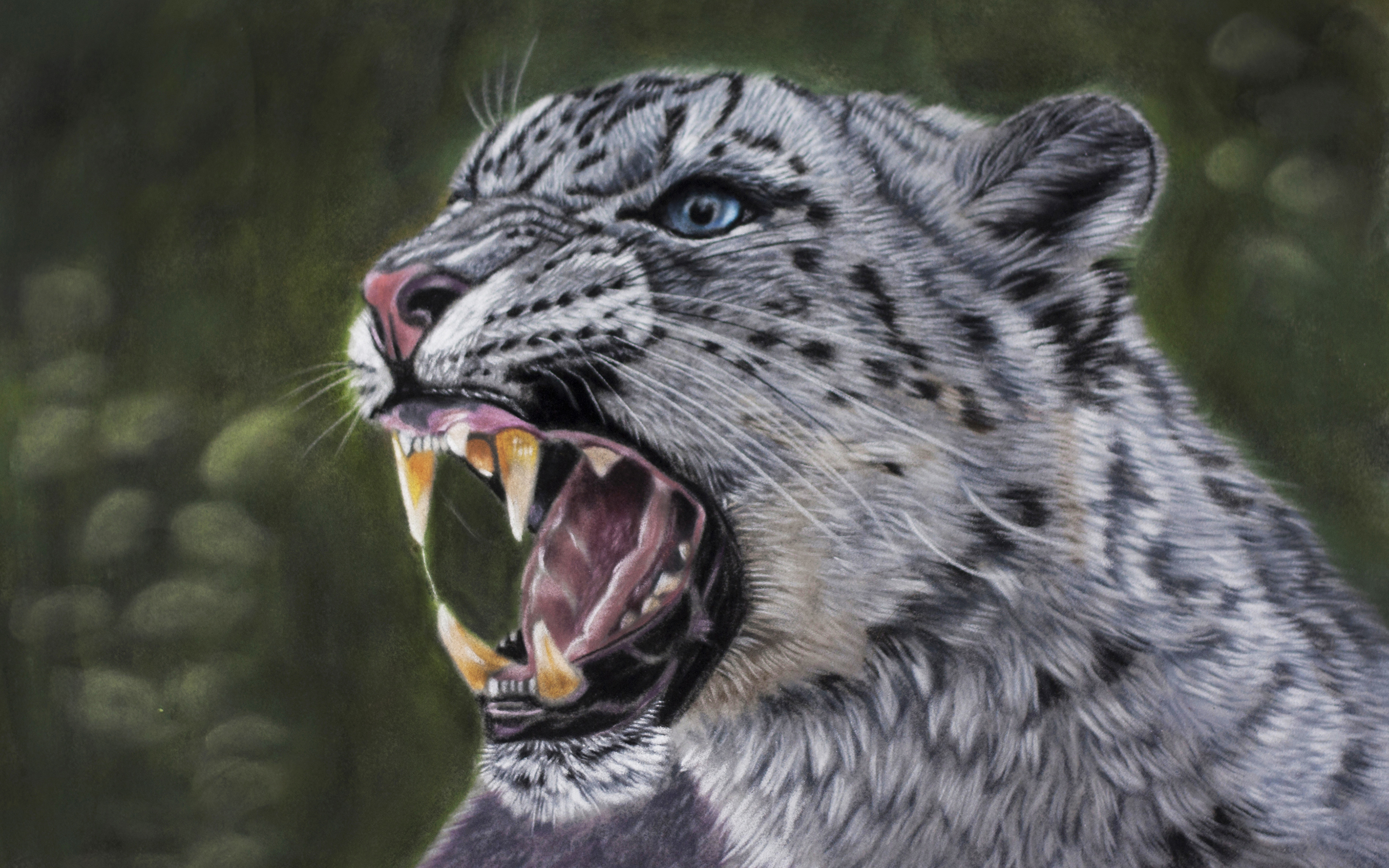 Image Snow leopards Teeth angry Animals Painting Art 3840x2400