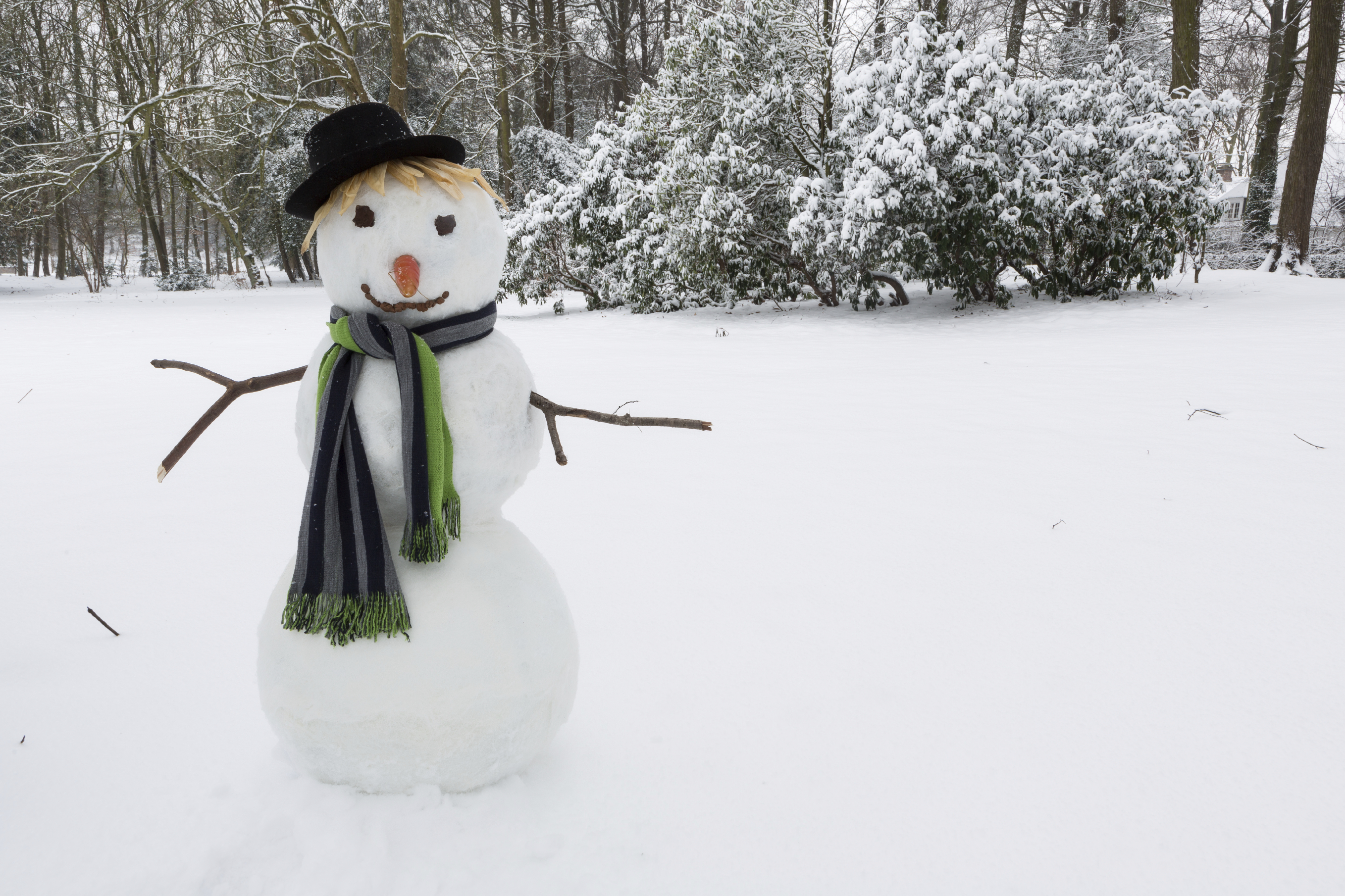 Montgomery Parks Launches Snowman Contest | Montgomery Community Media