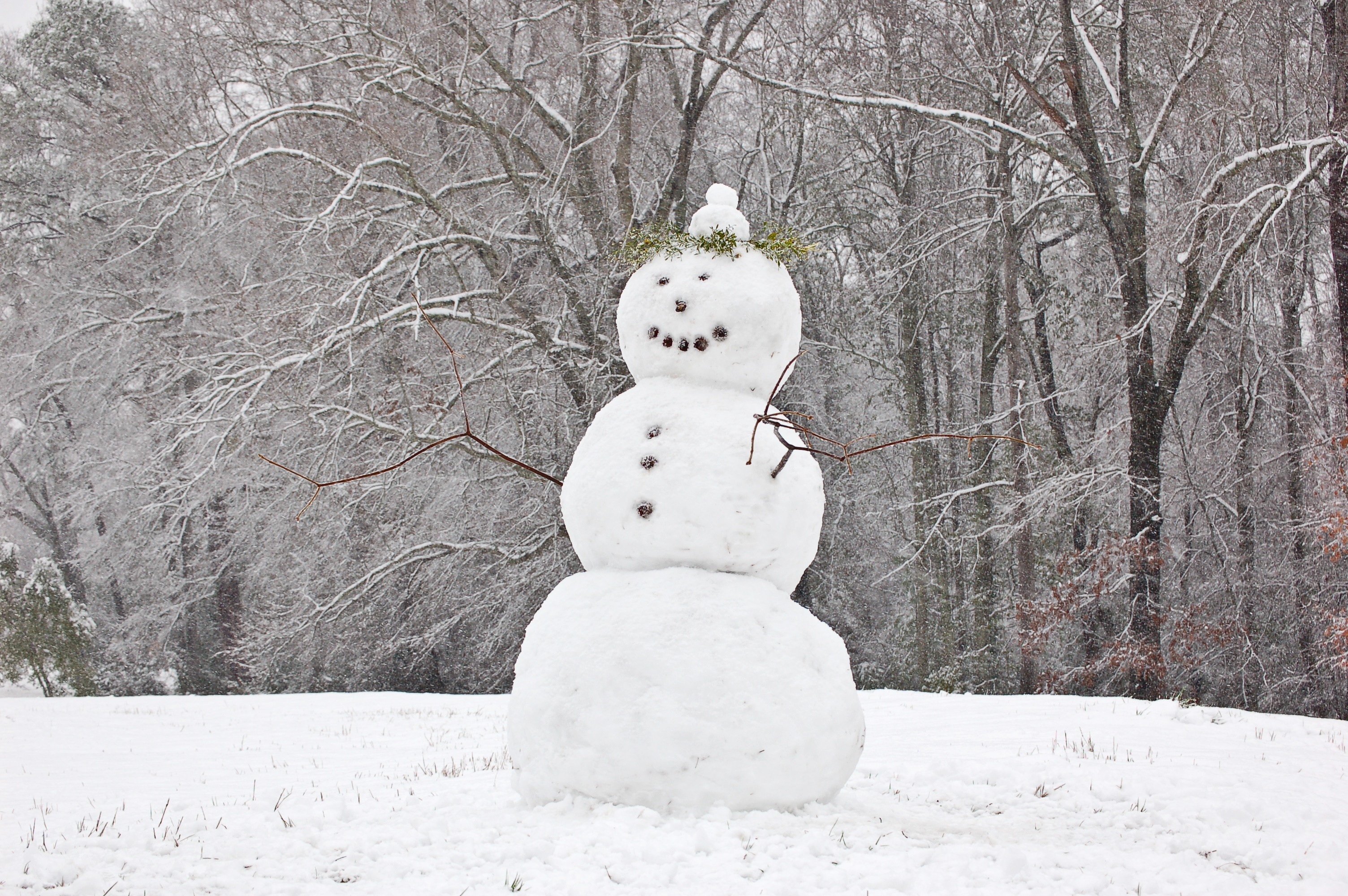 A Short Analysis of Wallace Stevens's 'The Snow Man' | Interesting ...