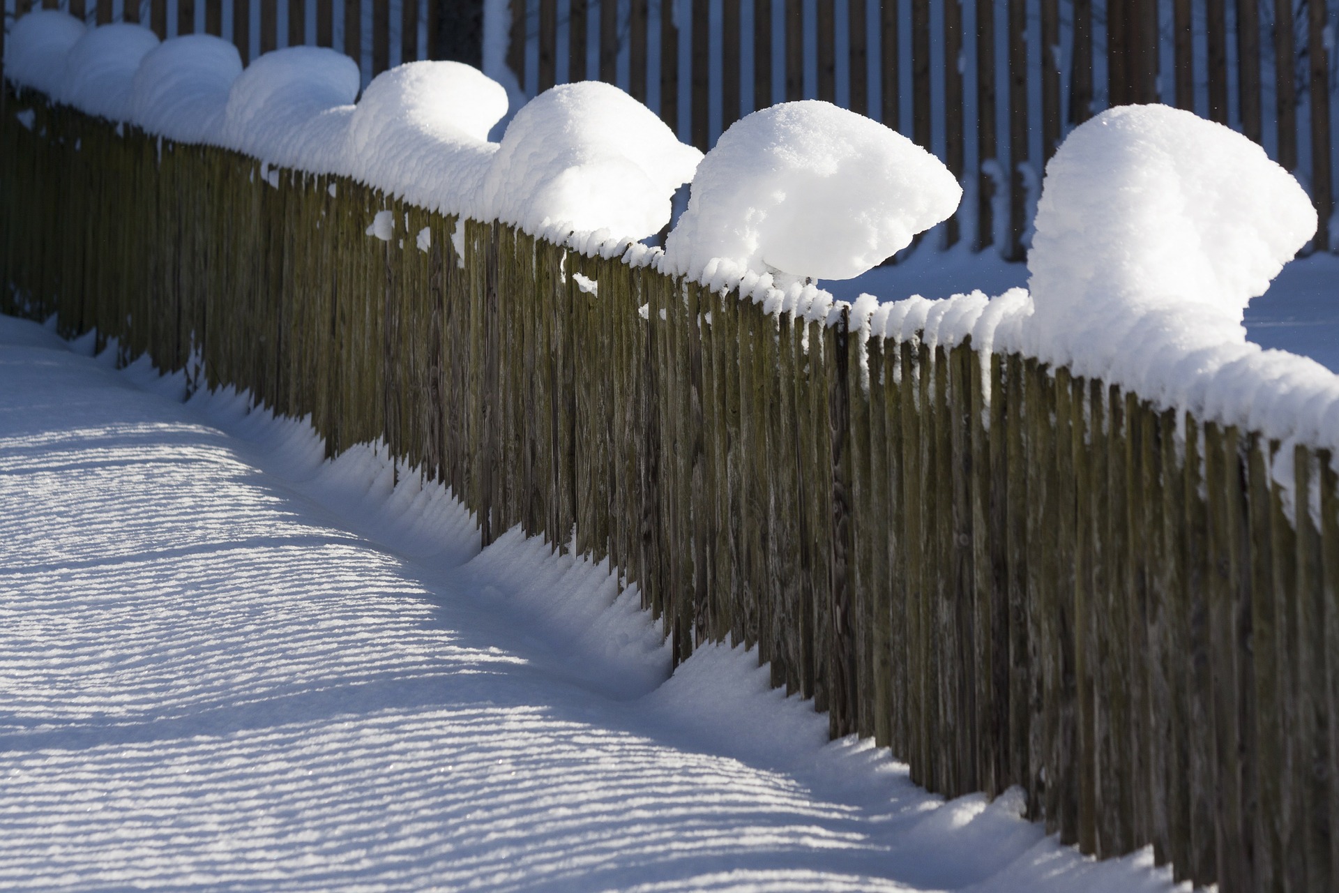 Snow on the wooden fence photo