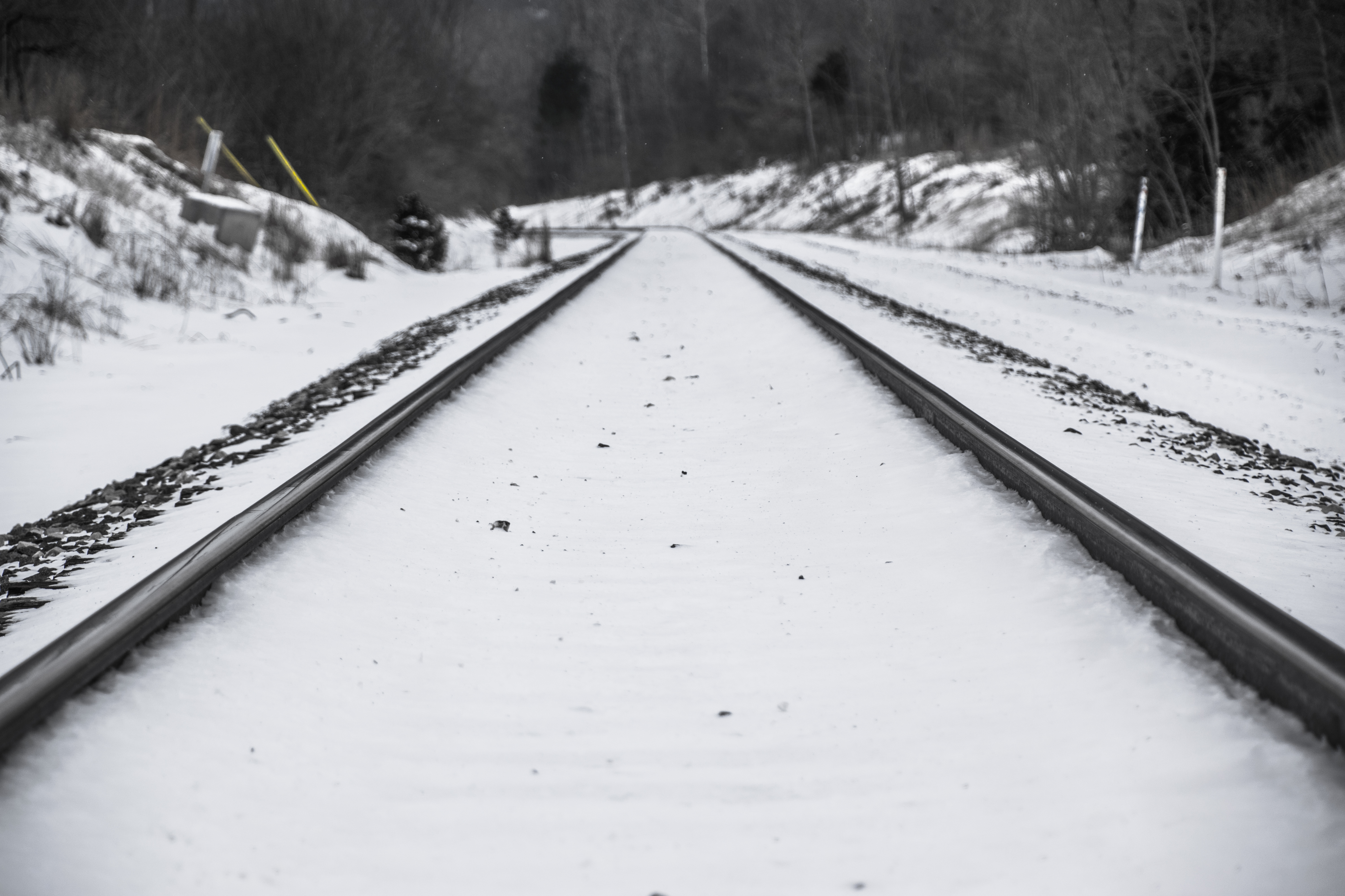 Snow on tracks photo