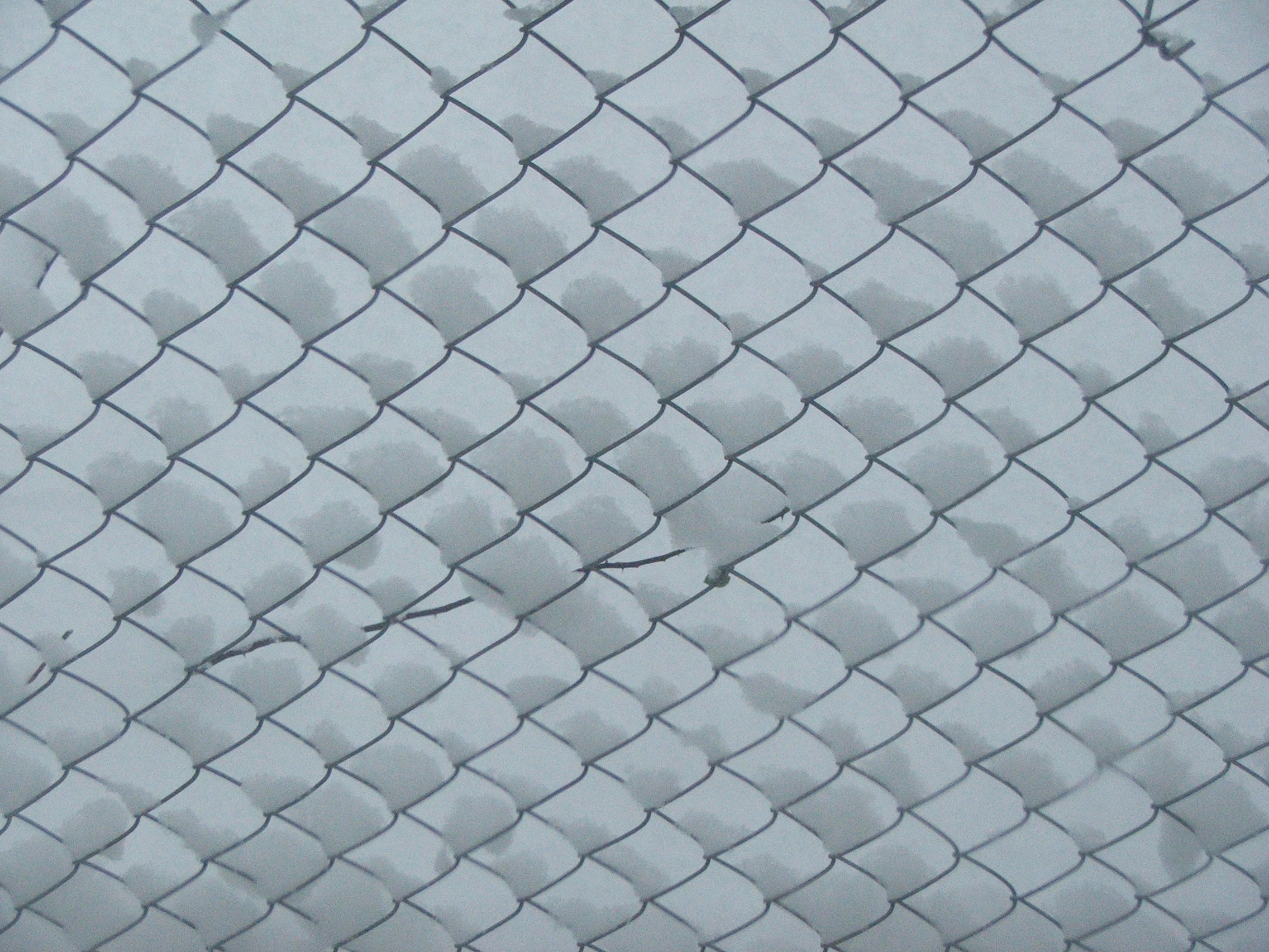 Snow on wire fence photo