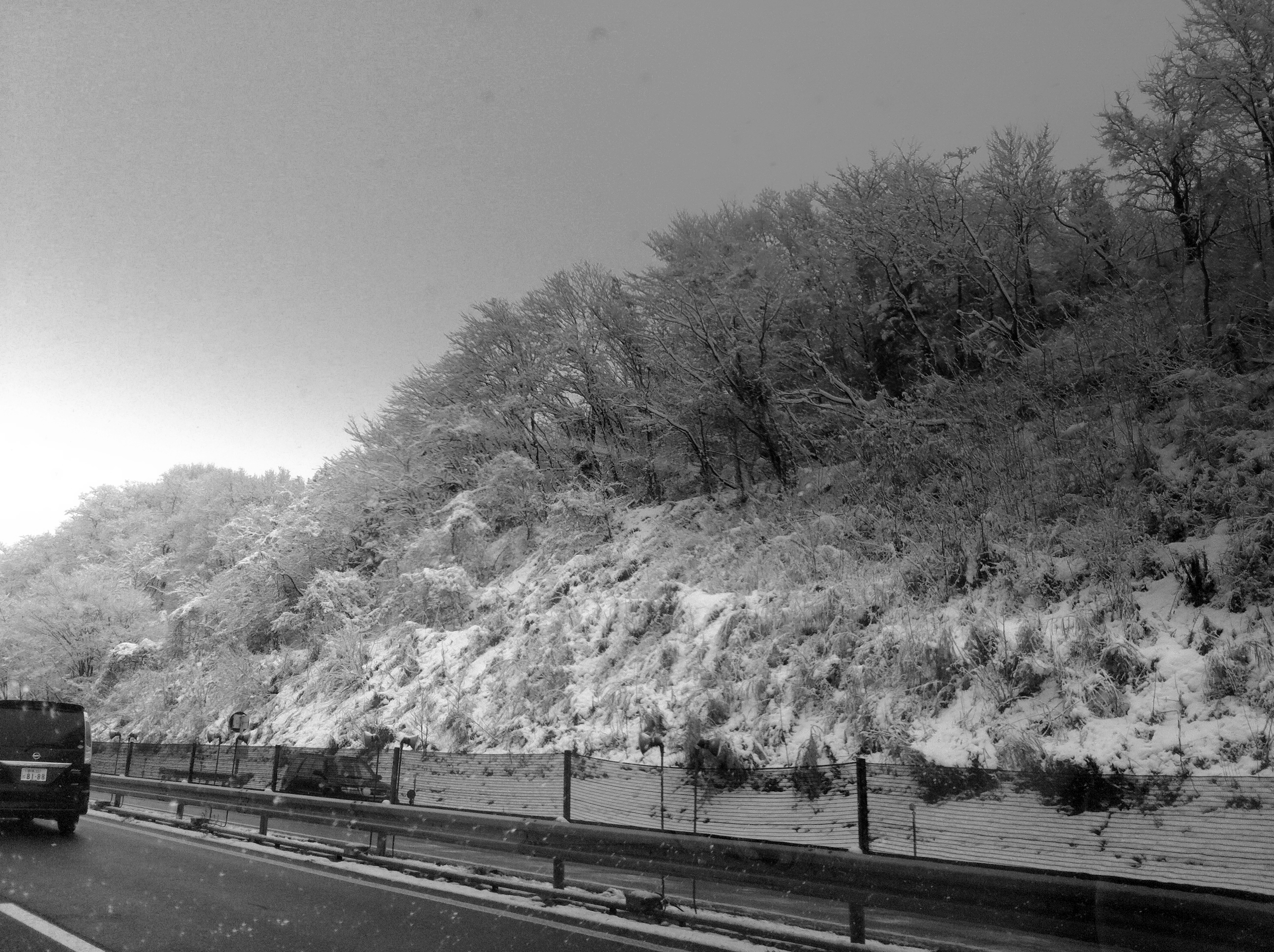 Snow road photo