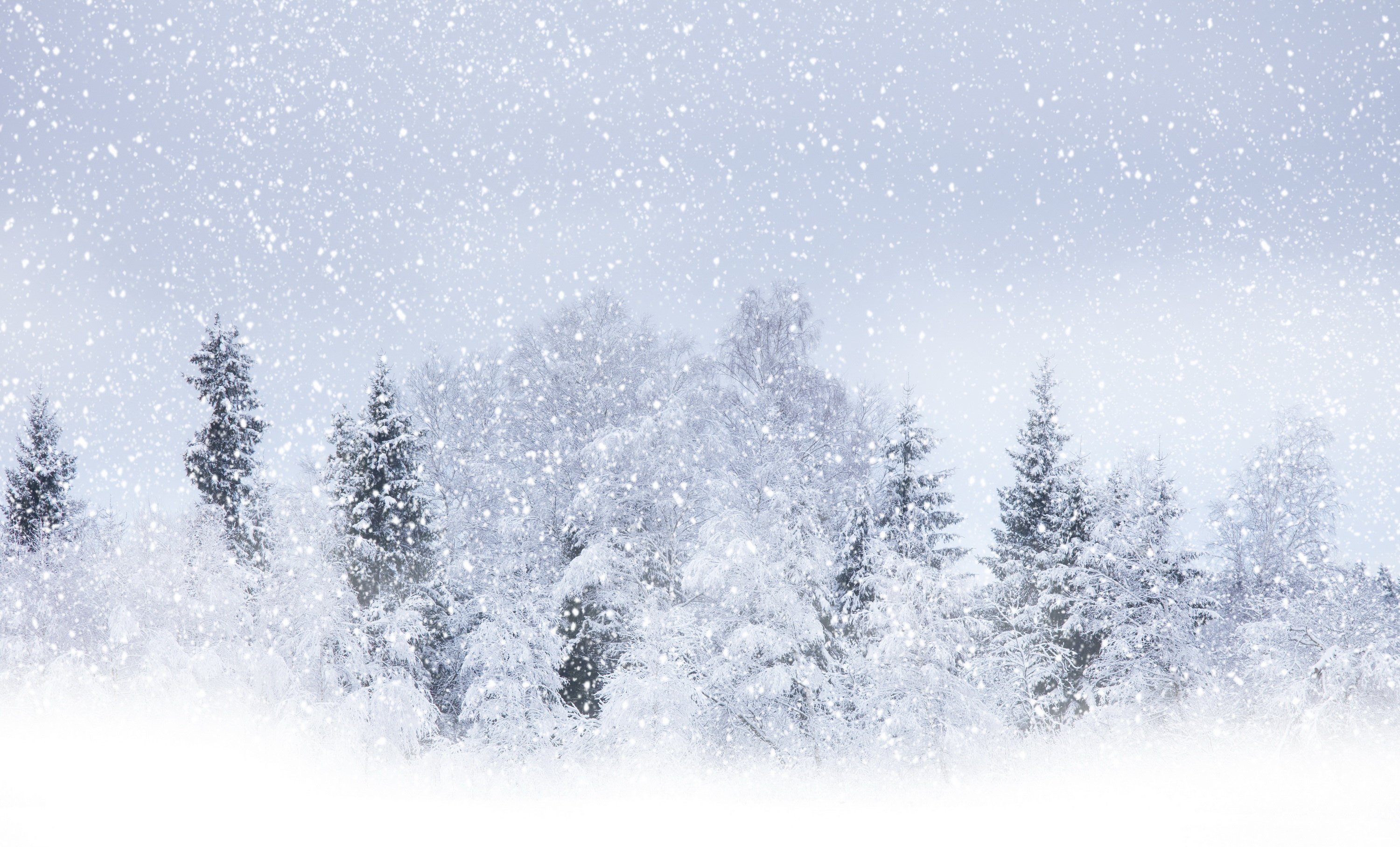 5 Things To Do During A Snow Storm