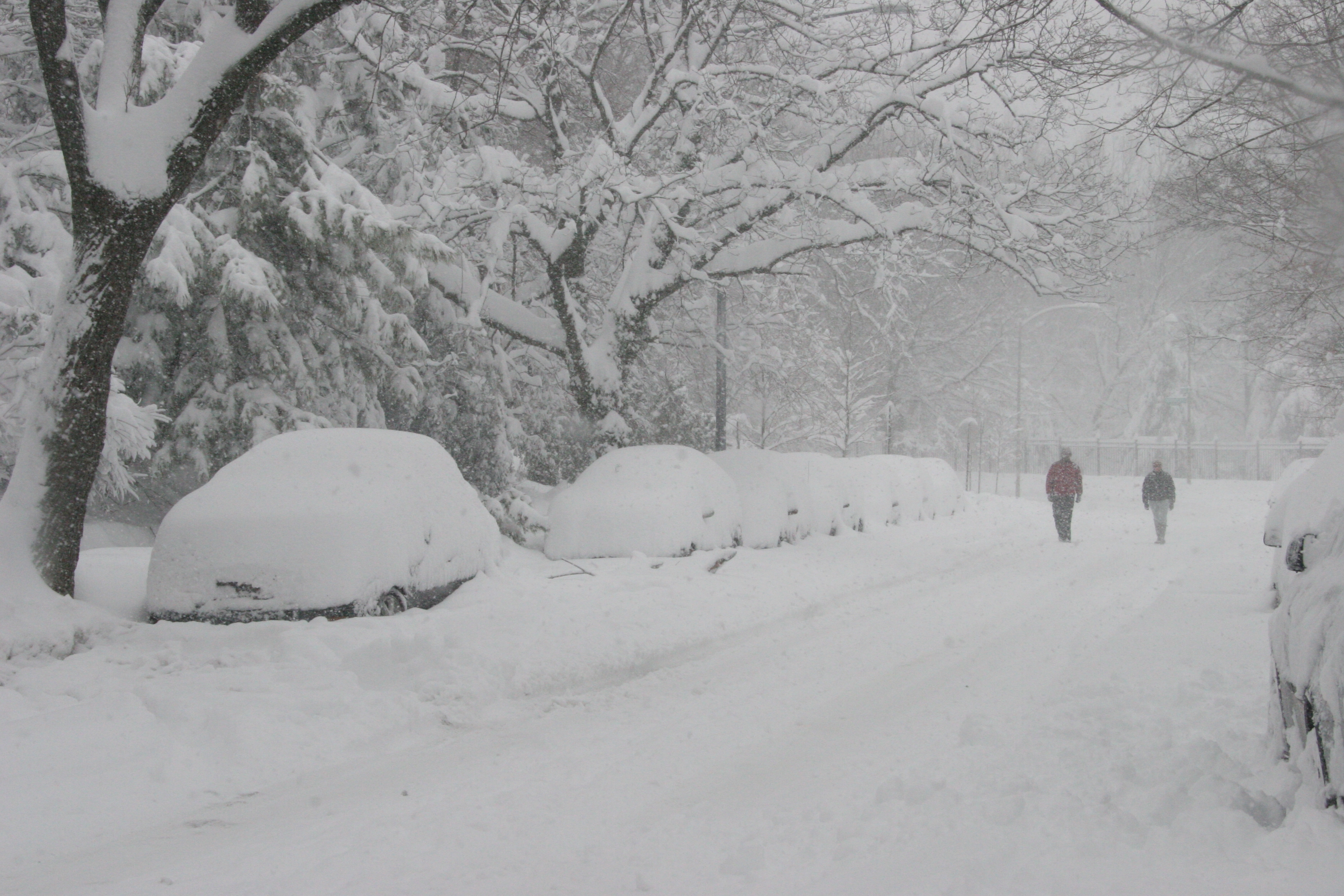 File:DC Snowstorm Feb - Flickr - Al Jazeera English (6).jpg ...