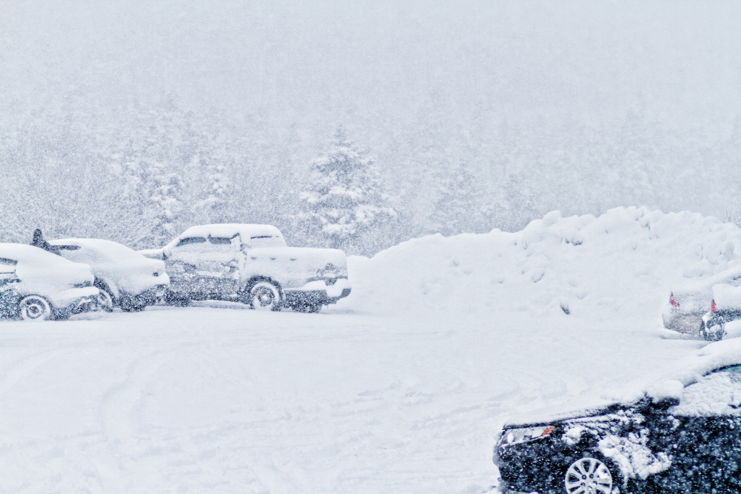 Snow Storm, Cars, Snow, White, Weather, HQ Photo