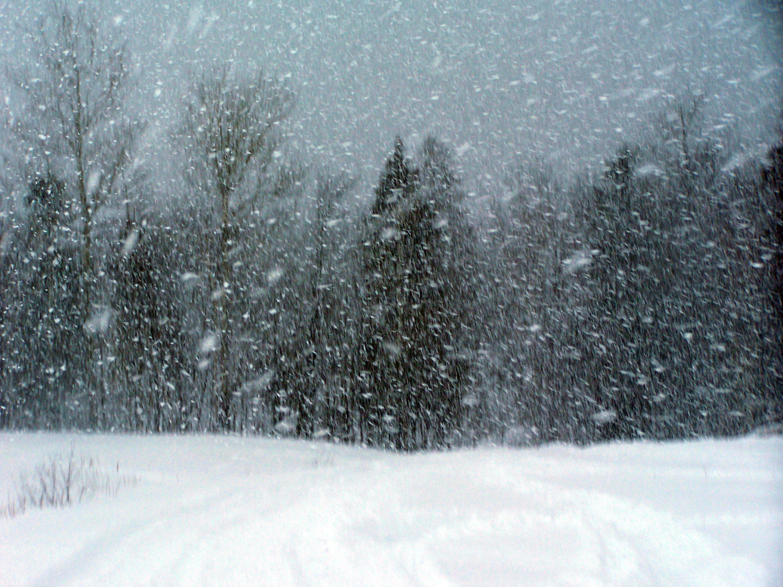 The Hypnotic Peculiarity of Snow | From the Ego of Steven