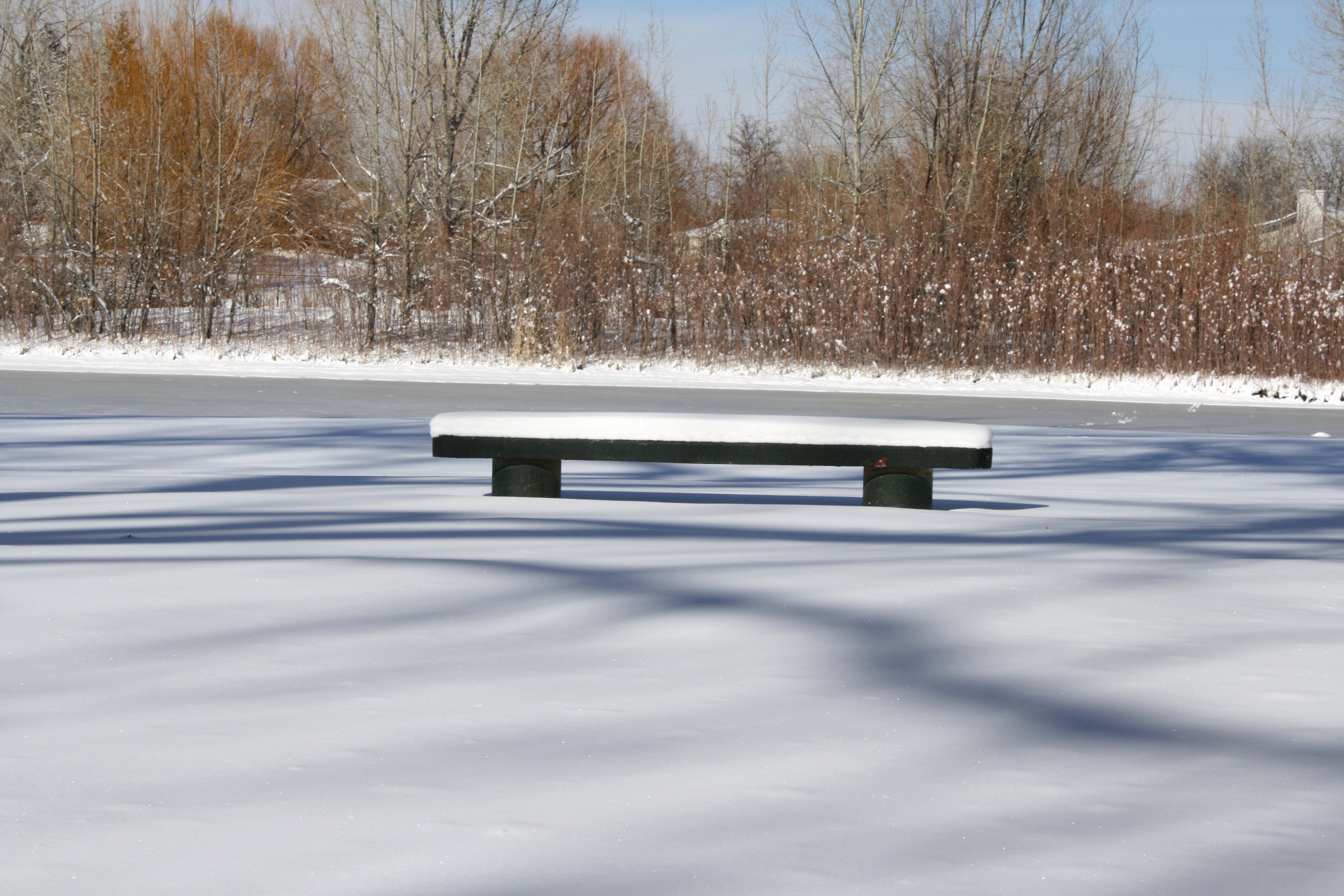 Bench : Impressive Covered Bench Image Design Ice Frost Garden ...