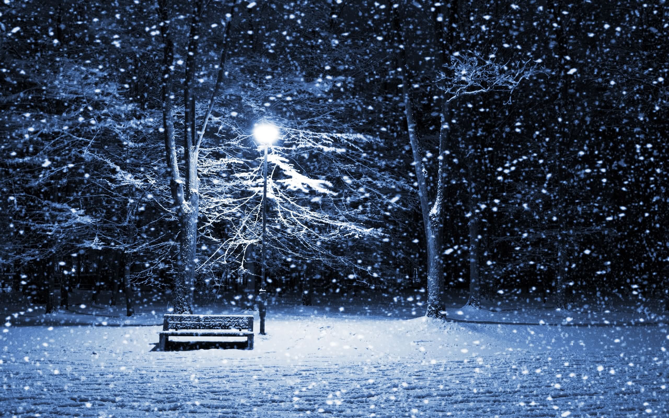 Winter Snowfall Night Sunset Image - Images, Photos, Pictures