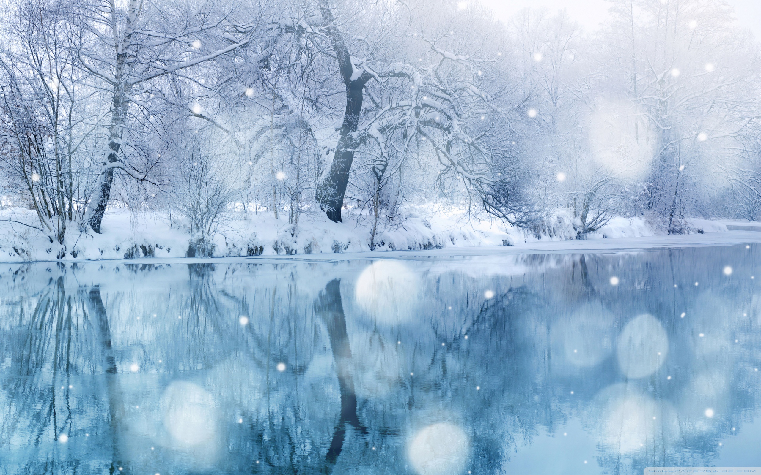 Winter Snowfall ❤ 4K HD Desktop Wallpaper for 4K Ultra HD TV • Dual ...