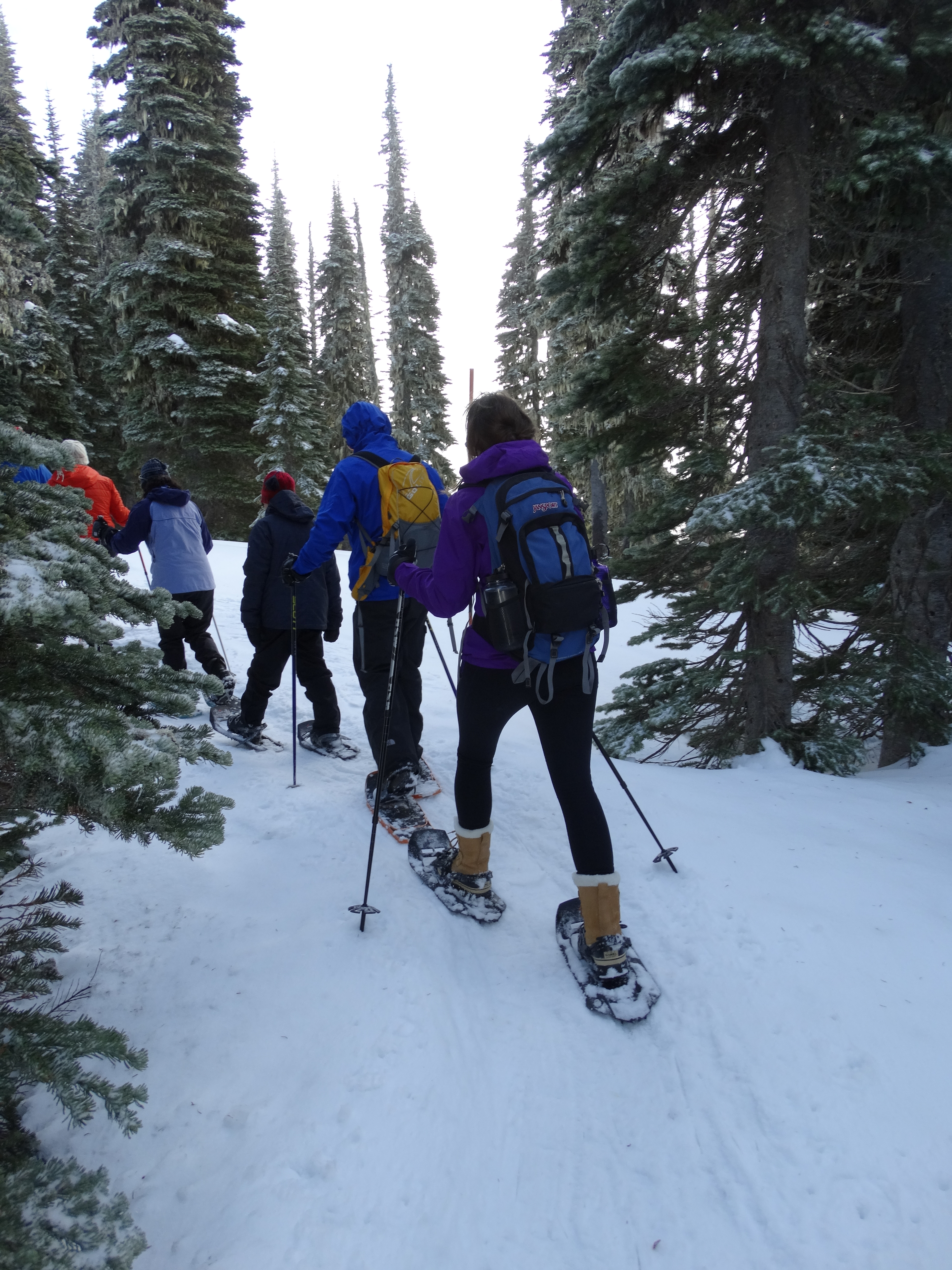 snowshoe walks | Mt. Rainier Visitor Association