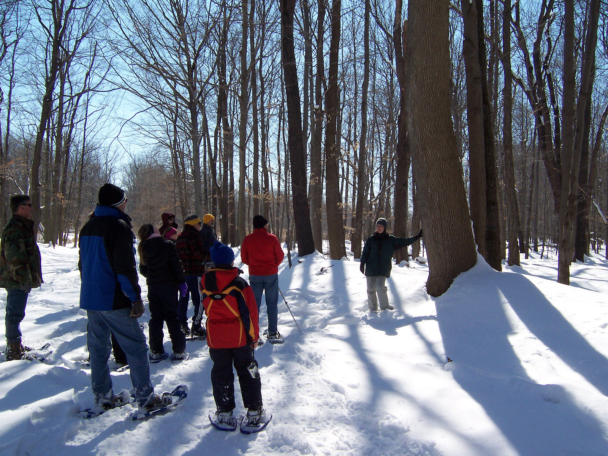 Frozen Forest Snowshoe Walk