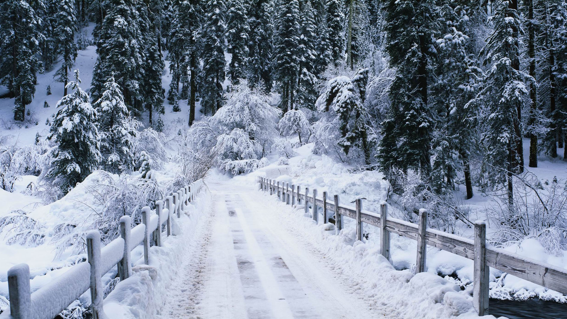 Snowy bridge / 1920 x 1080 / Forest / Photography | MIRIADNA.COM
